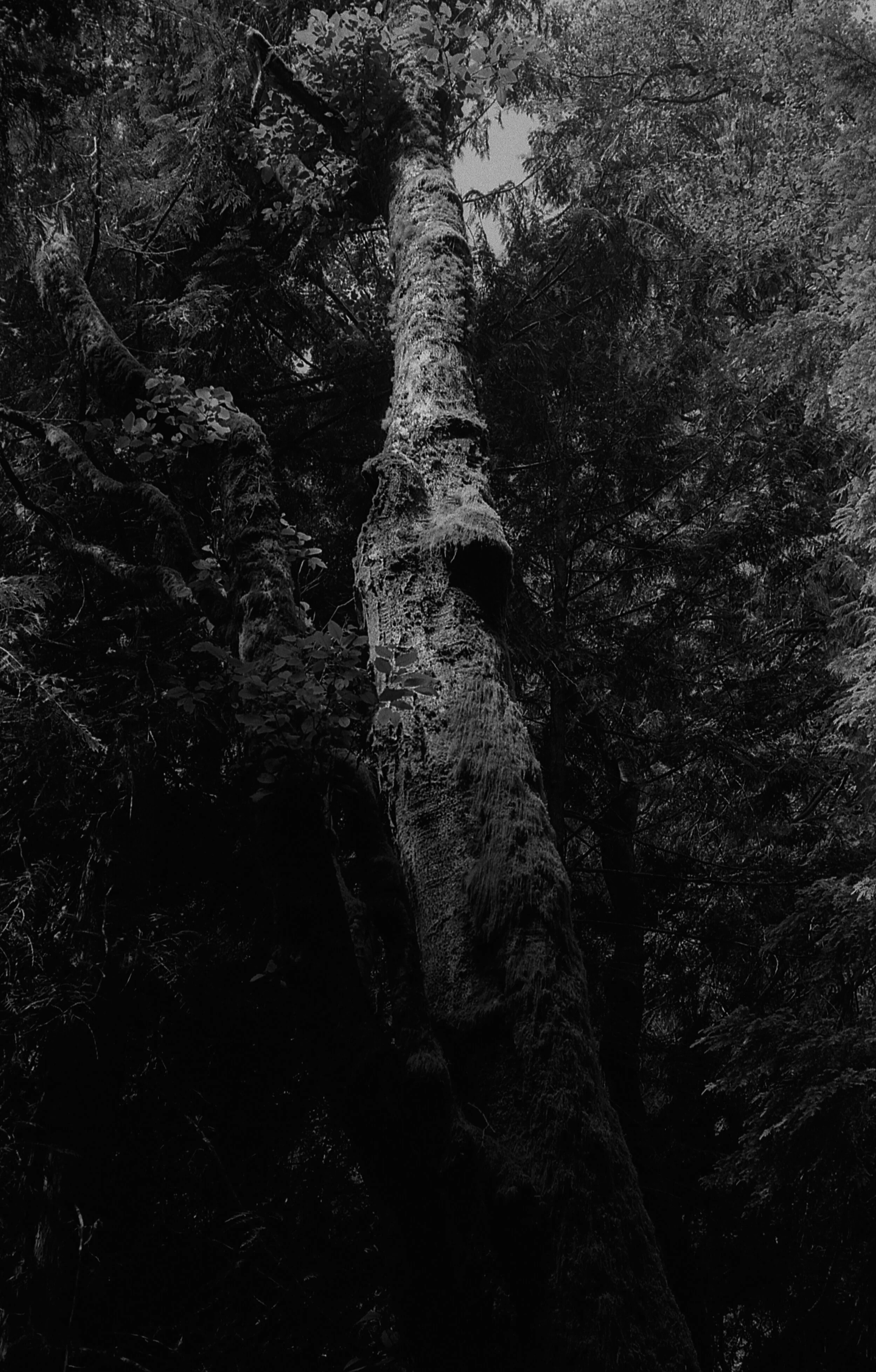 black&white_21.jpg