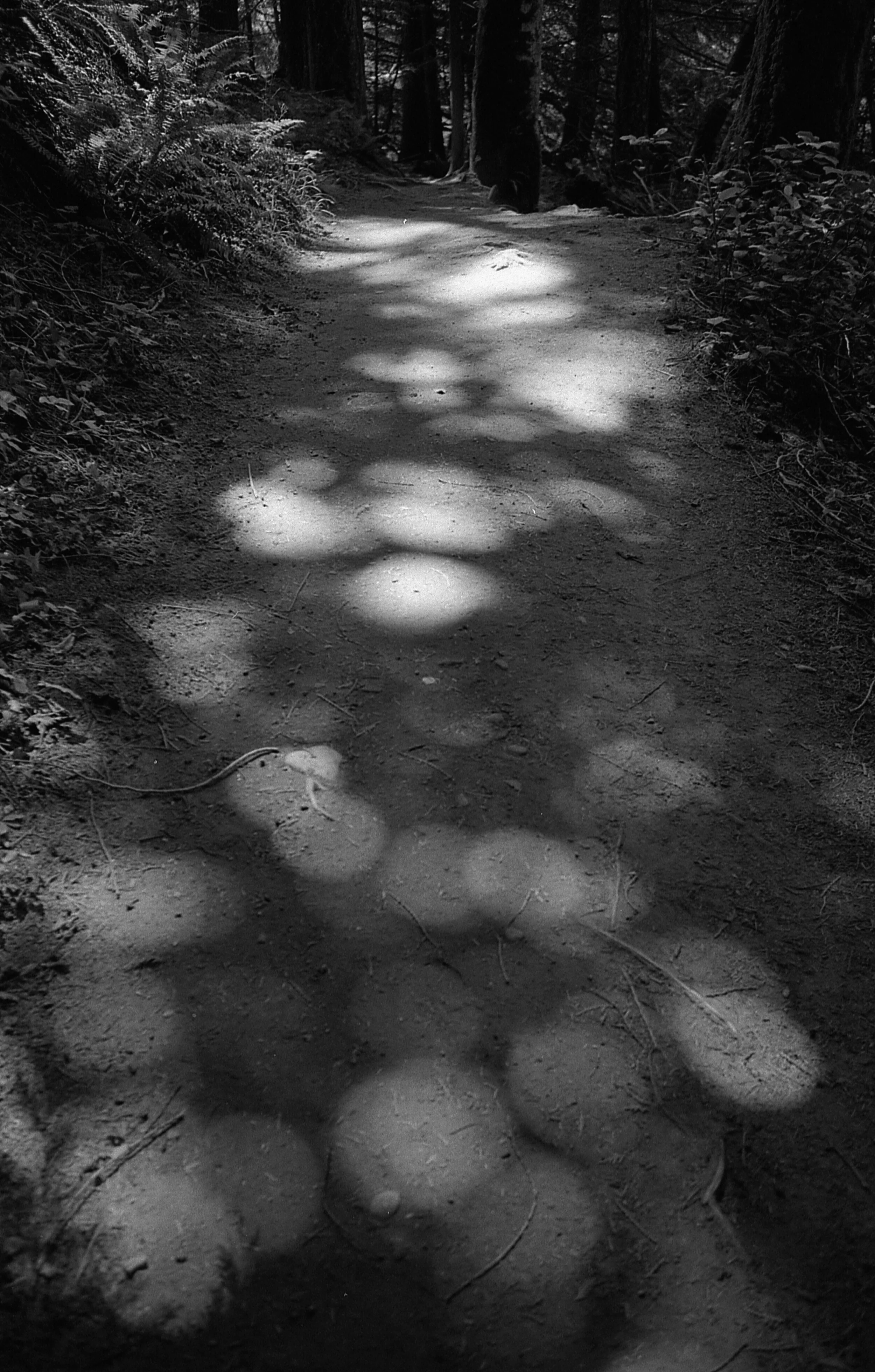 black&white_22.jpg