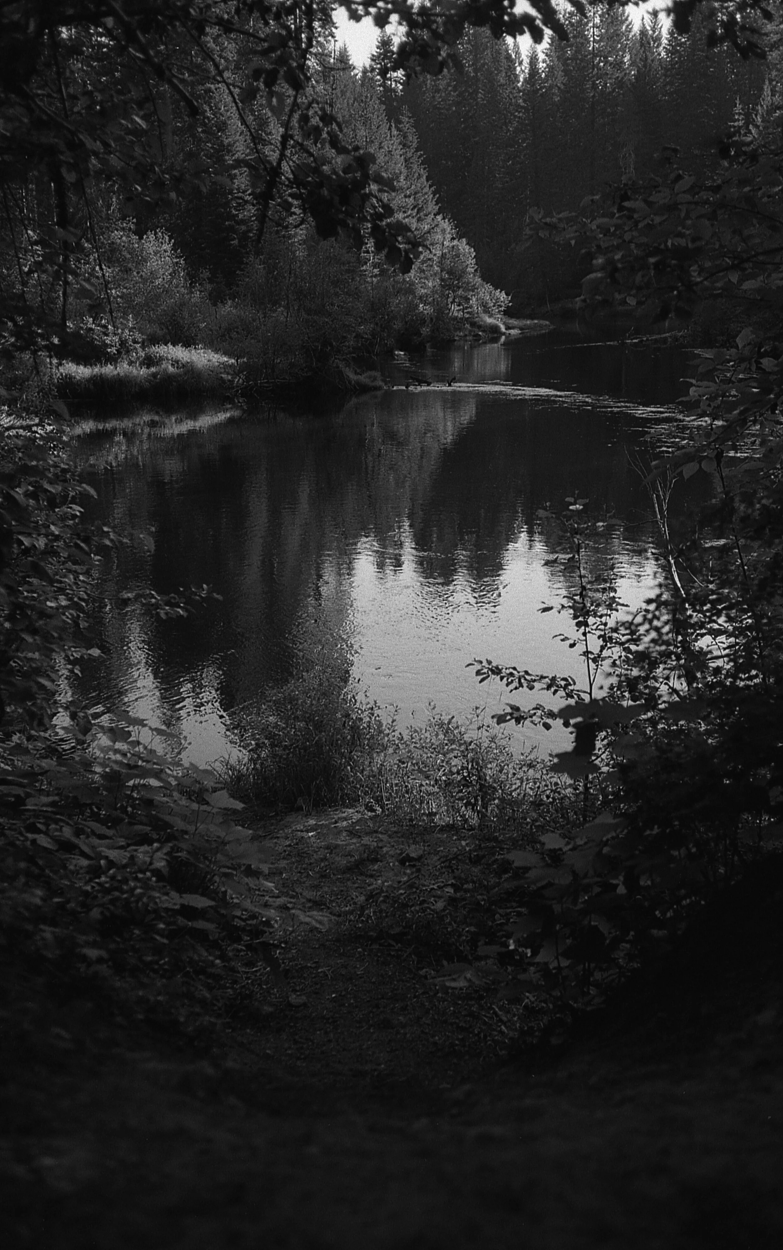 black&white_23.jpg