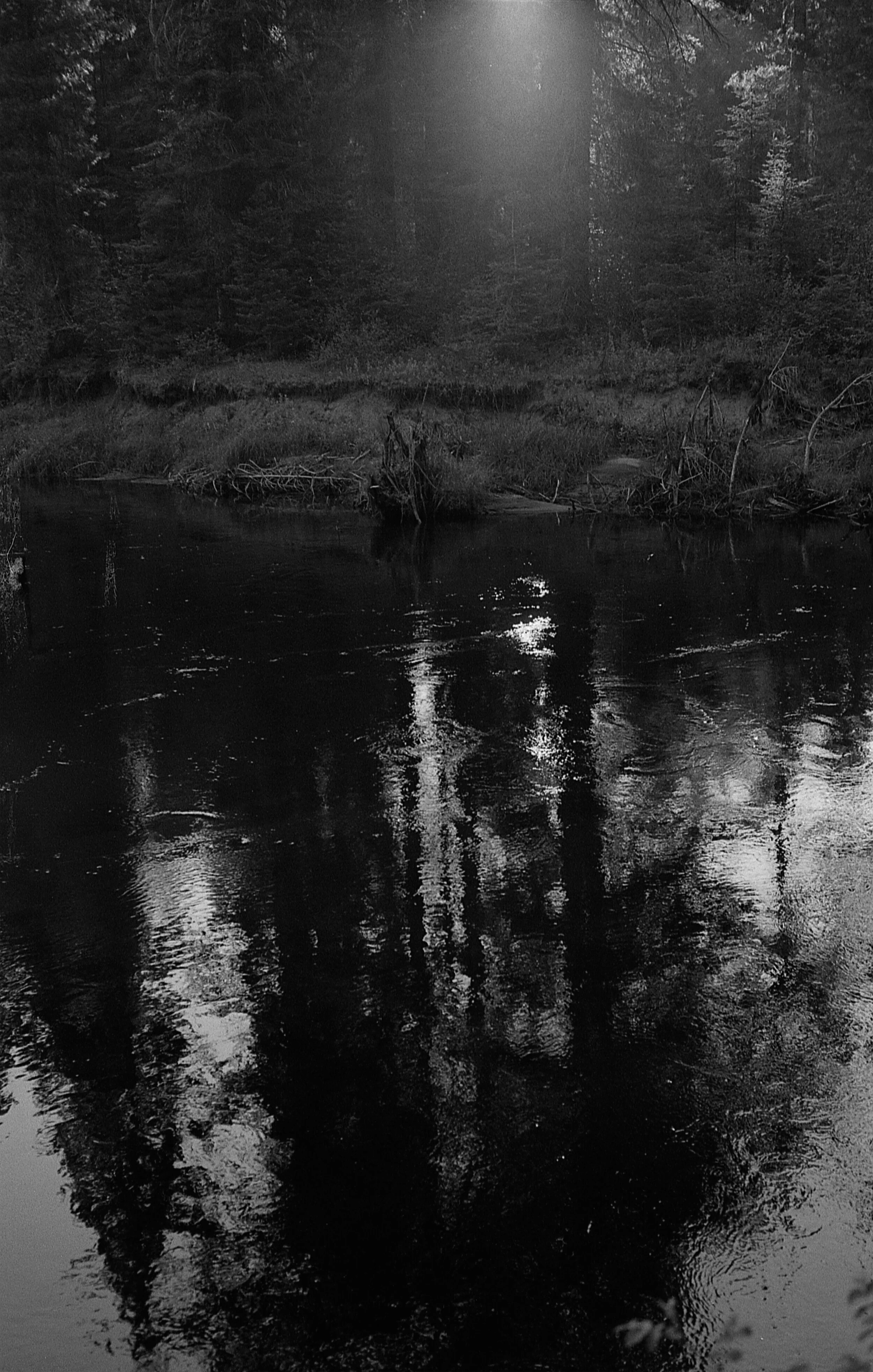 black&white_24.jpg