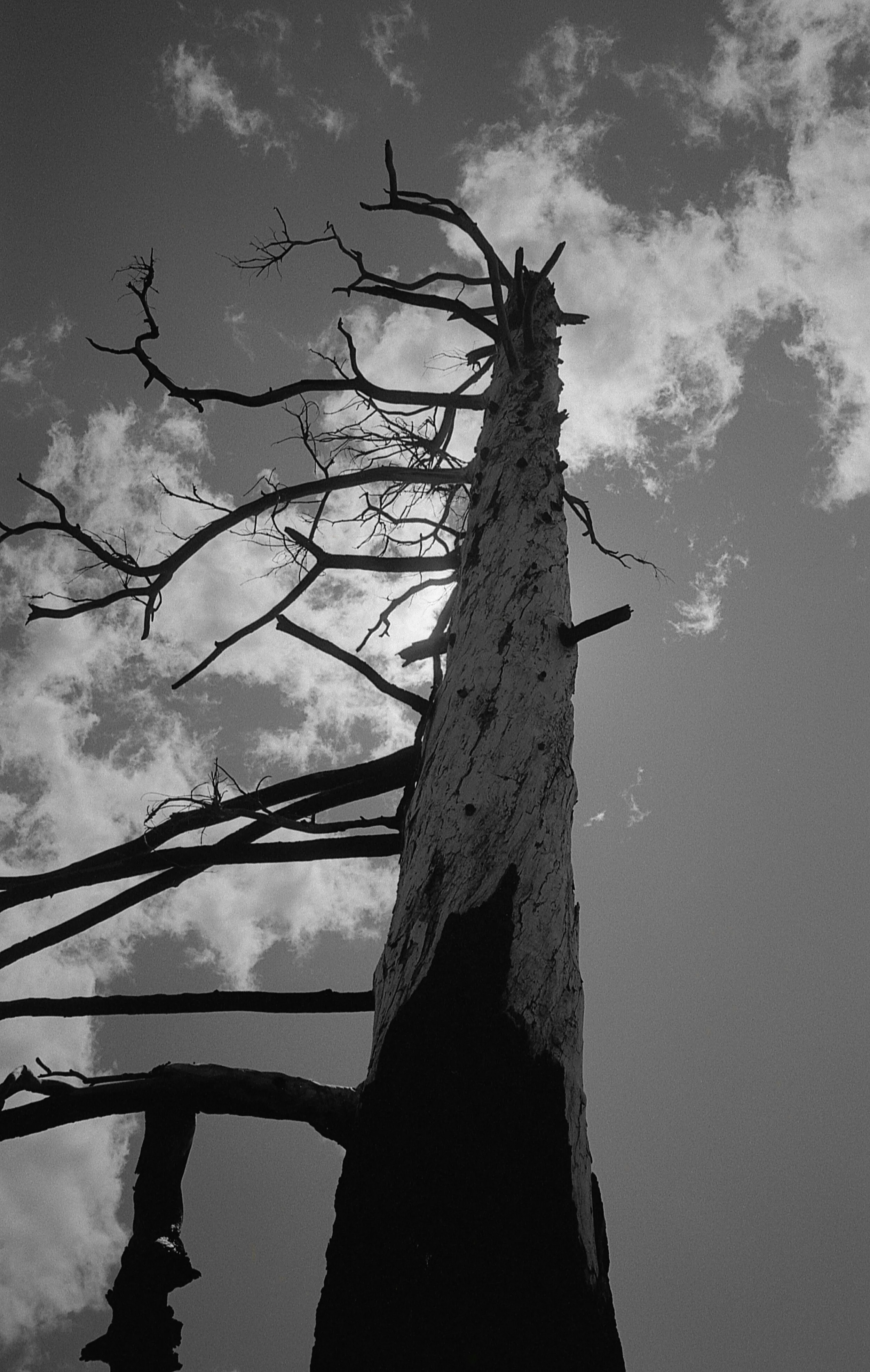 black&white_28.jpg