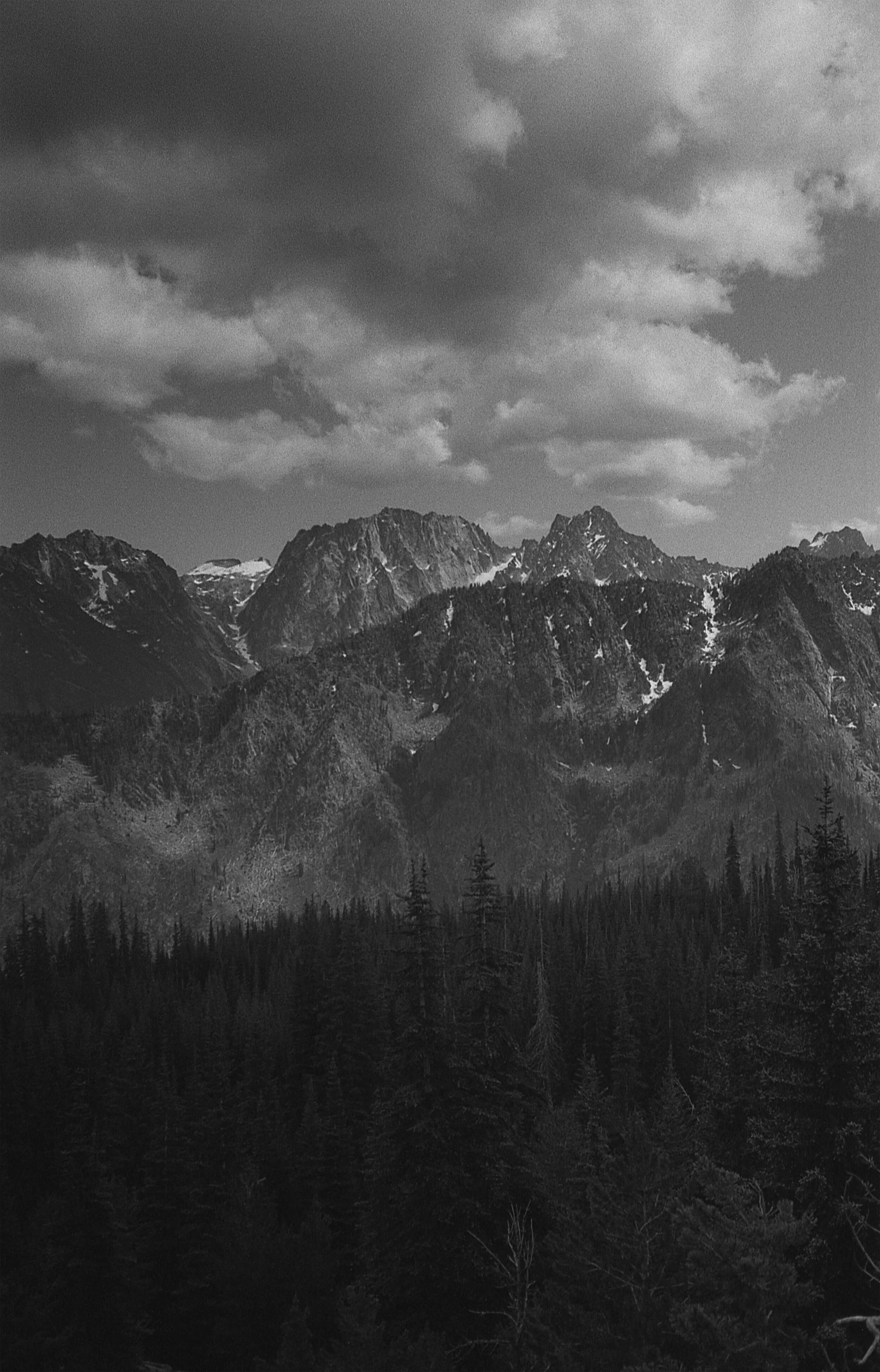 black&white_27.jpg