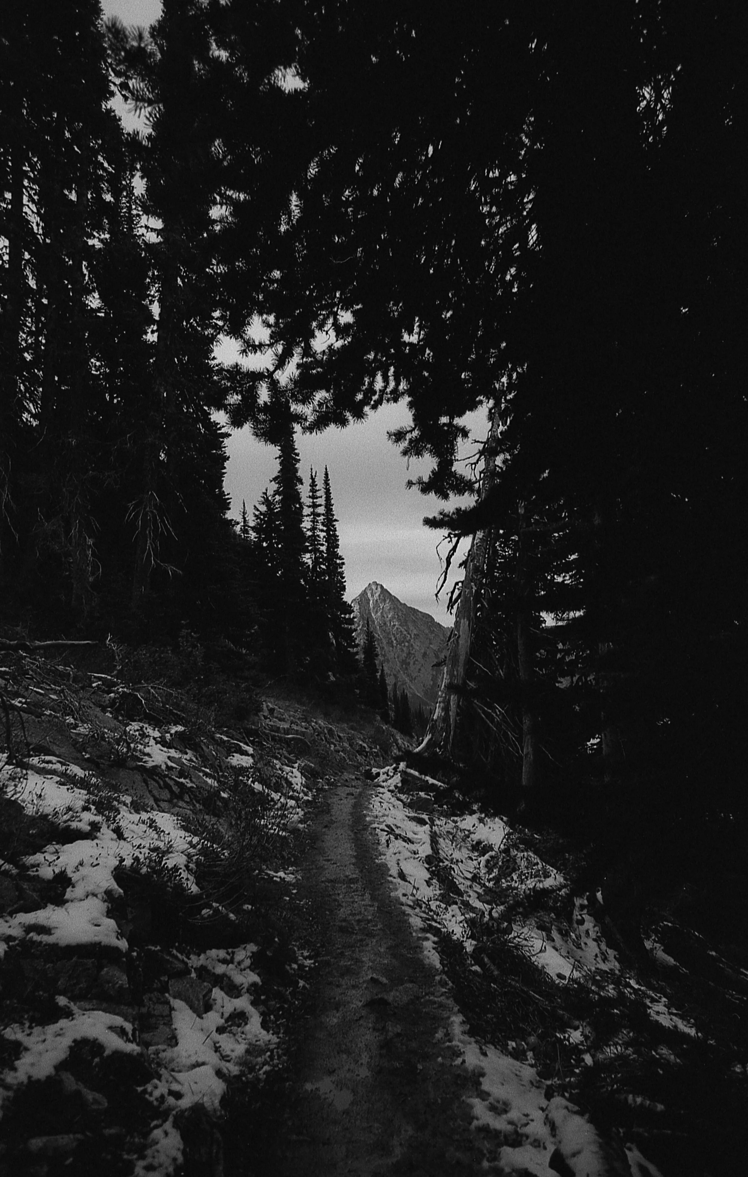black&white_31.jpg