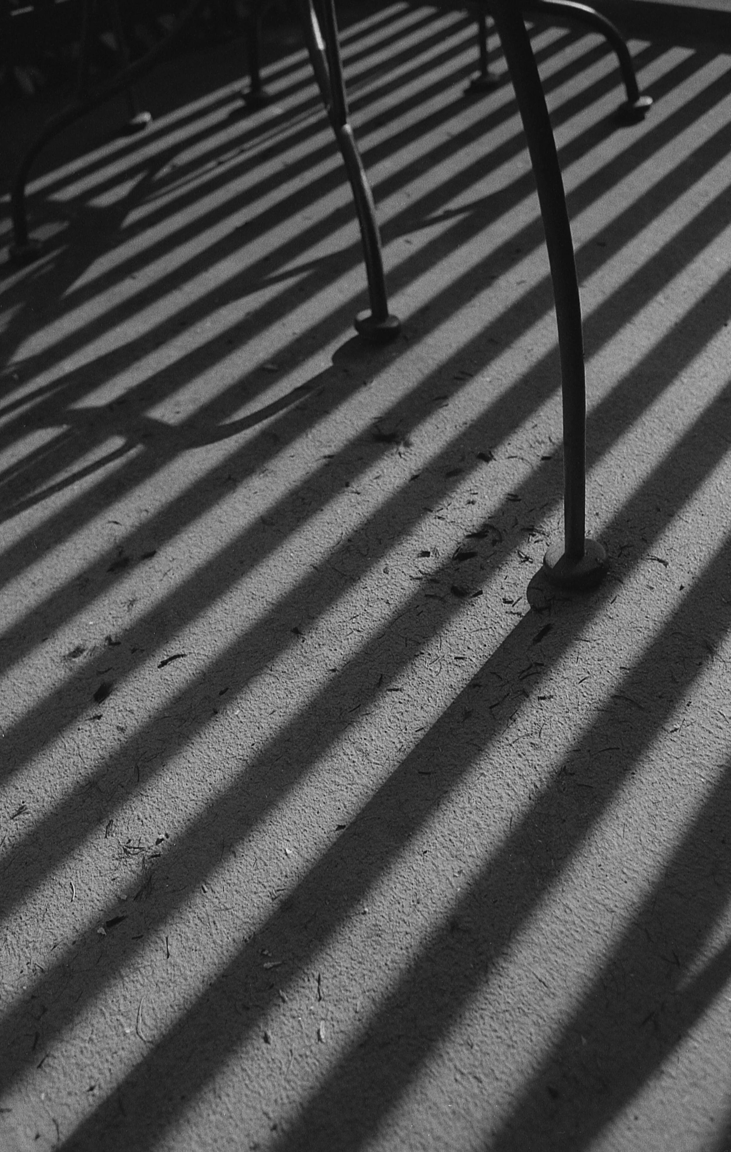 black&white_30.jpg