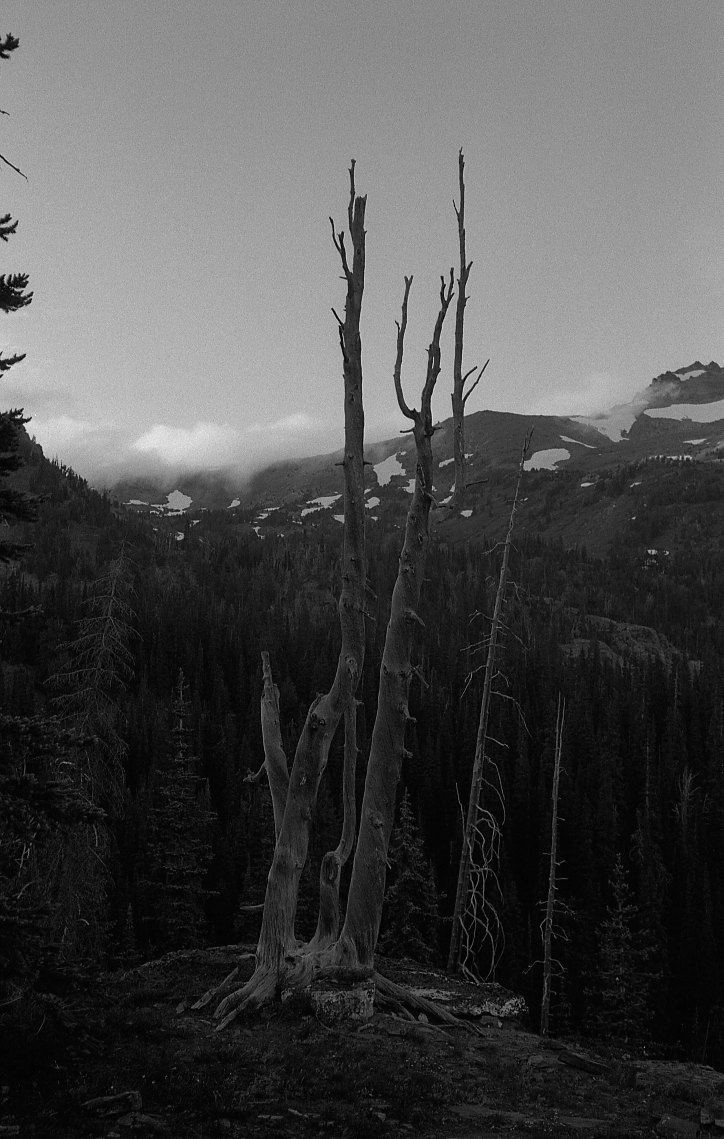 black&white_33.jpg
