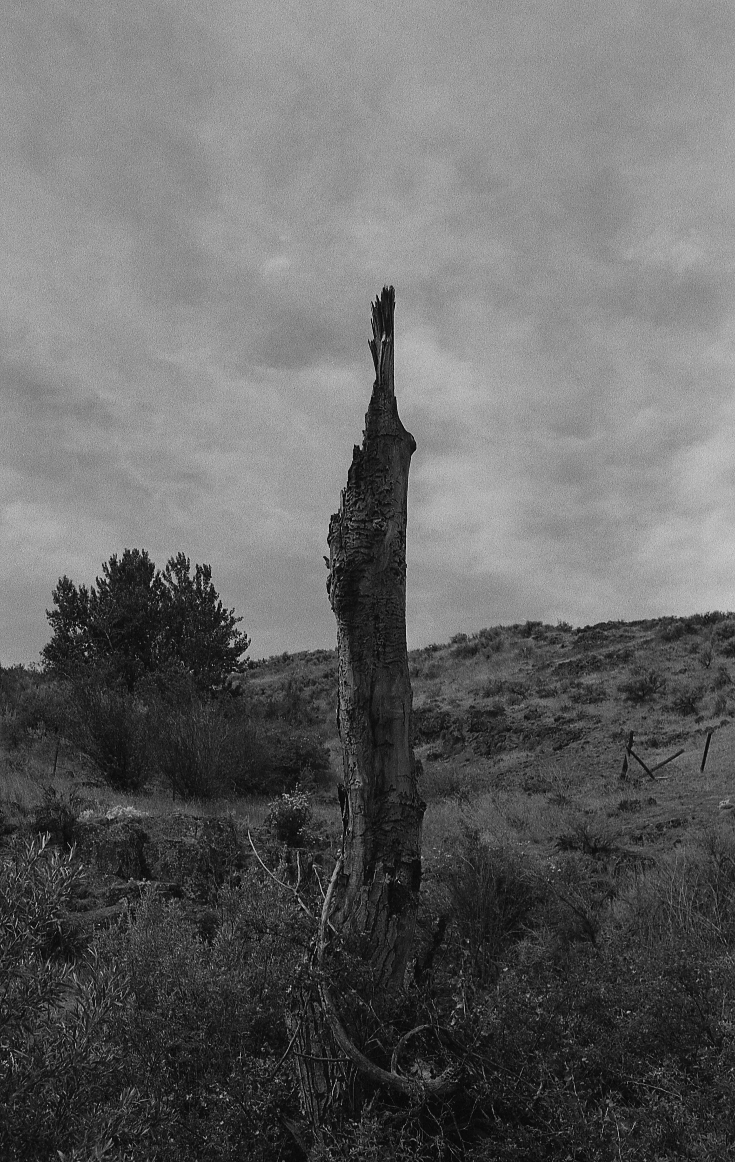 black&white_32.jpg
