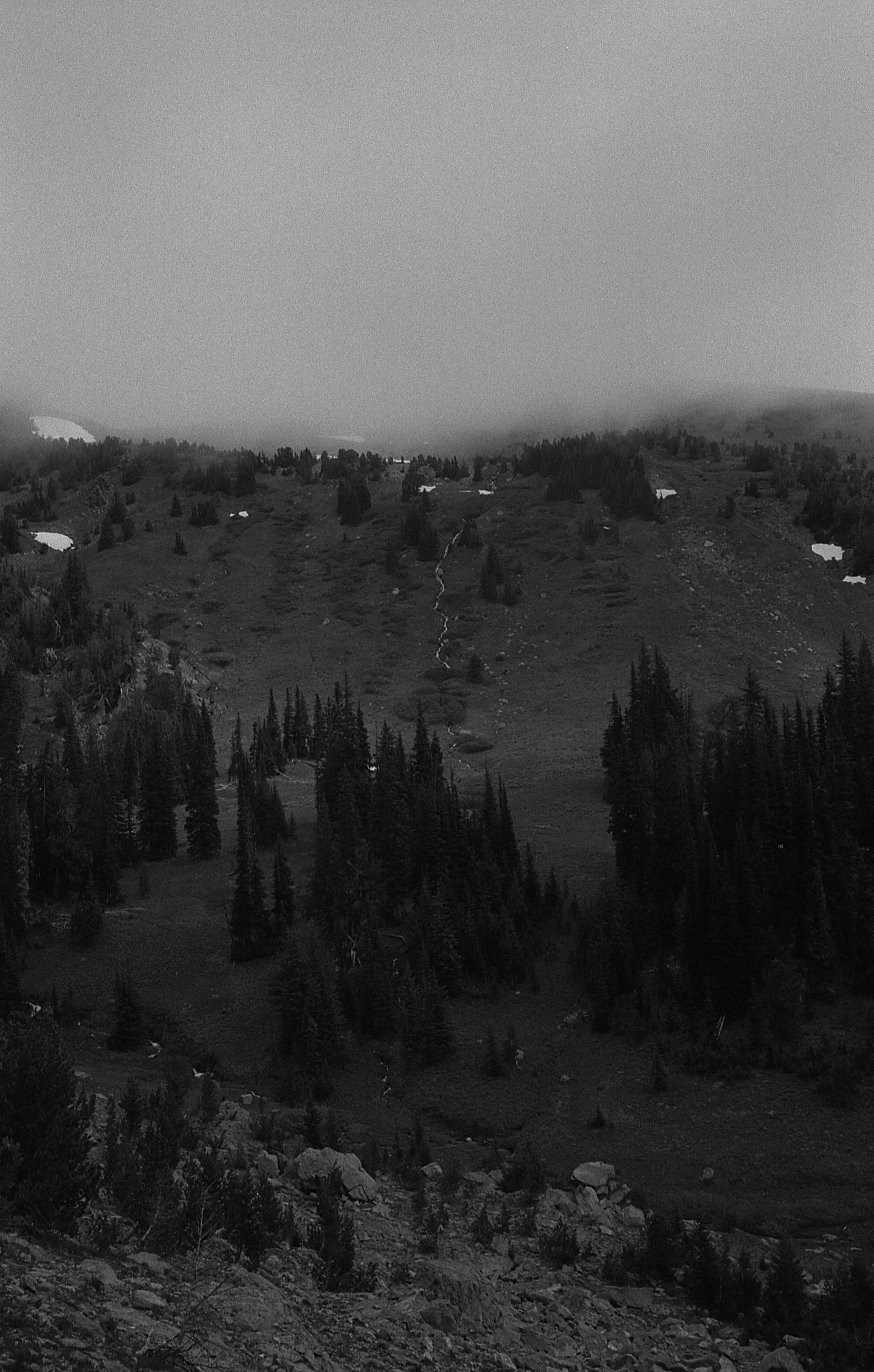 black&white_34.jpg