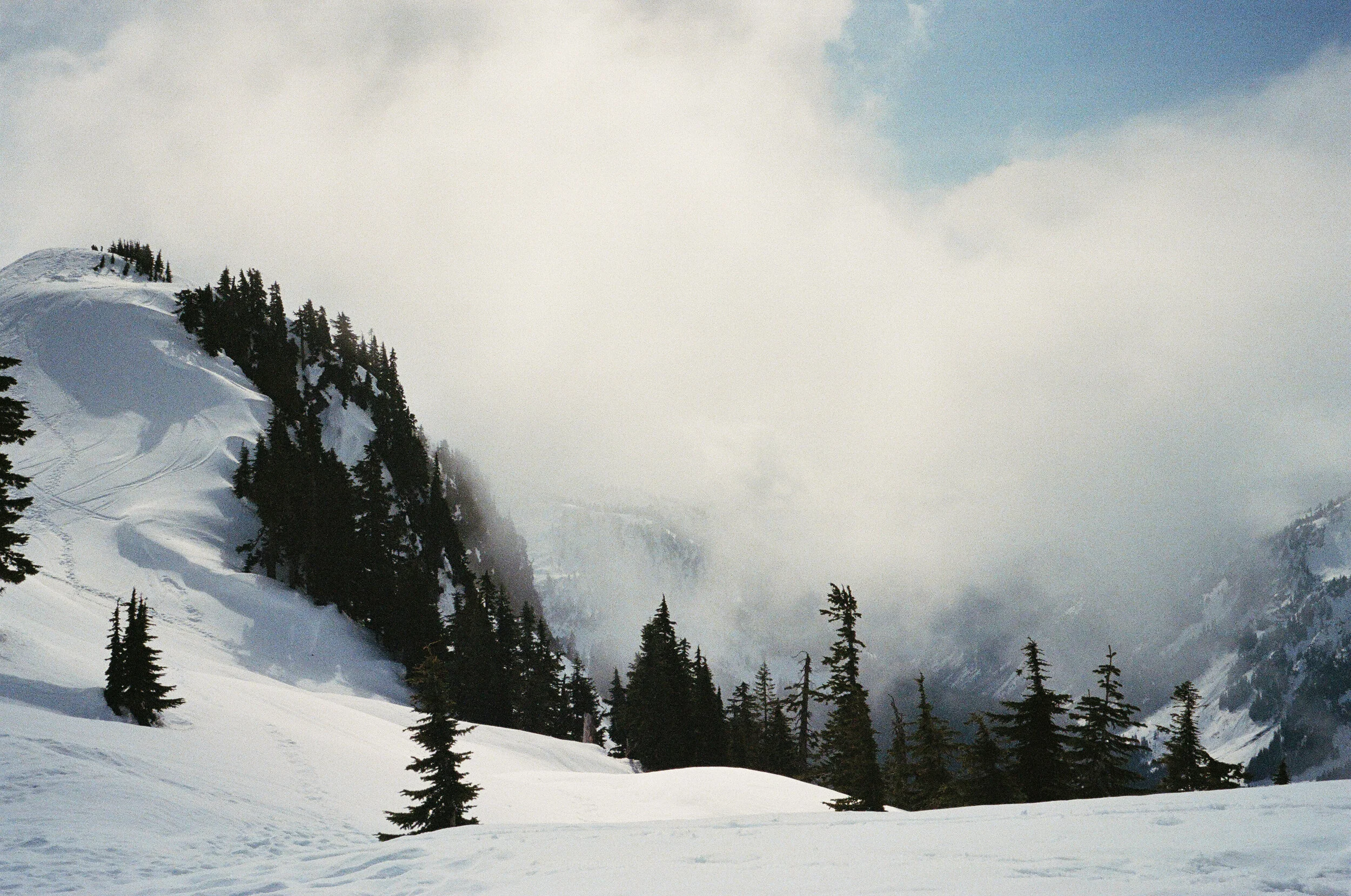 2019_04_016_edit.jpg
