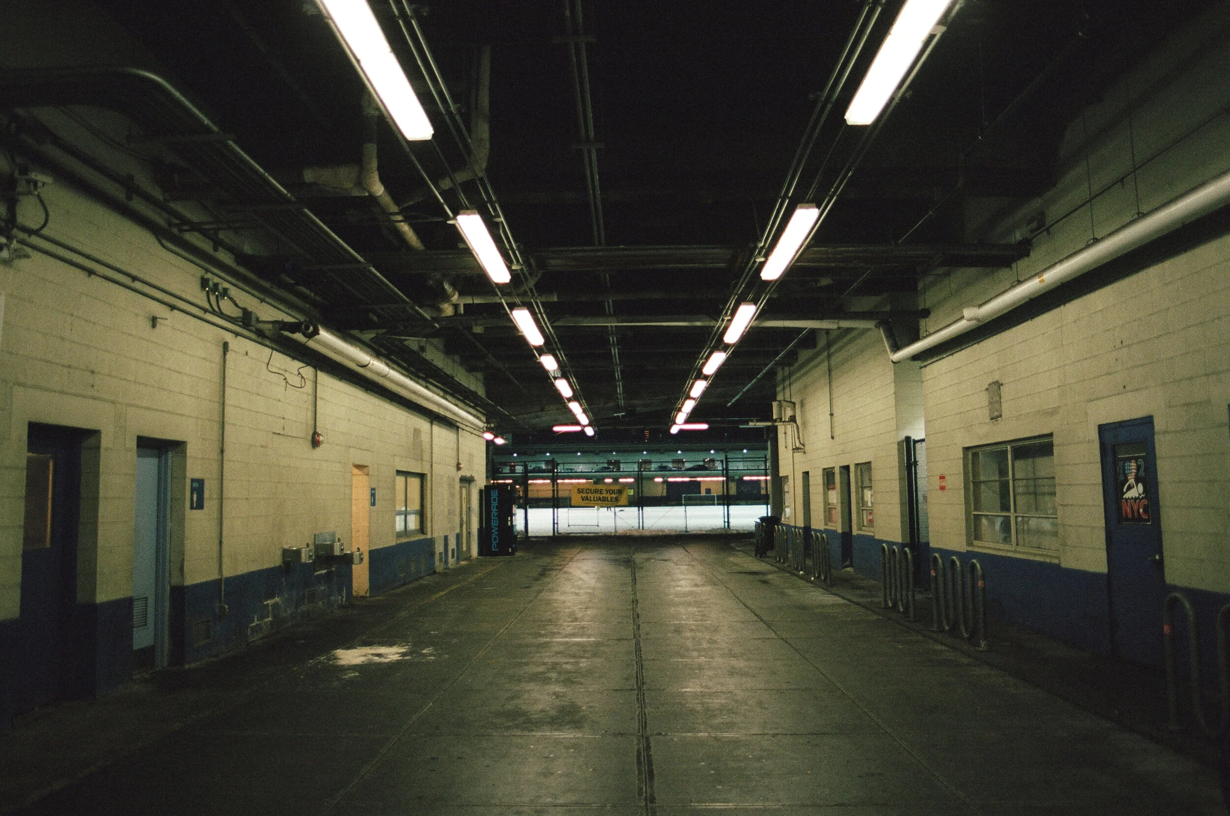 81380015.jpg