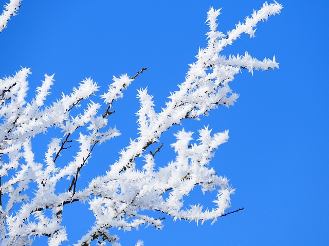  Hiver | Rein » lombaire
