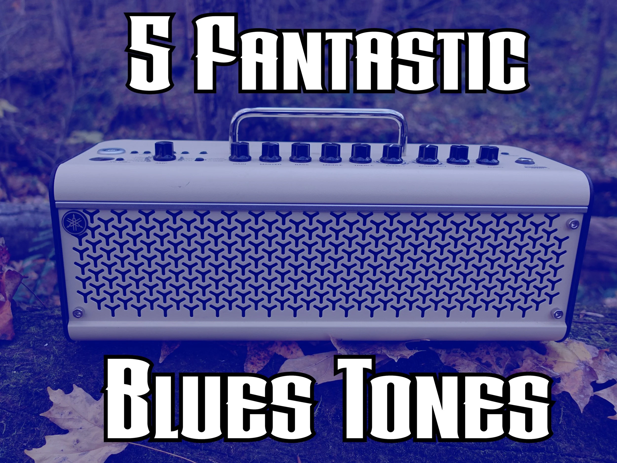 5 Fantastic Blues Tones.jpg