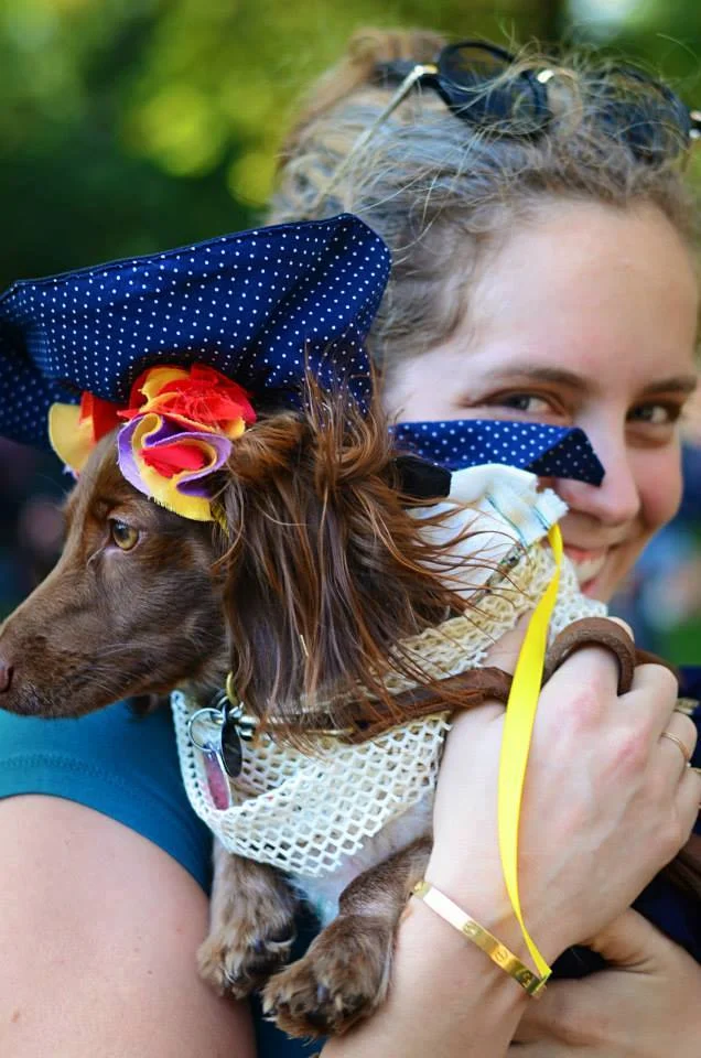 2015 Dog Halloween Parade