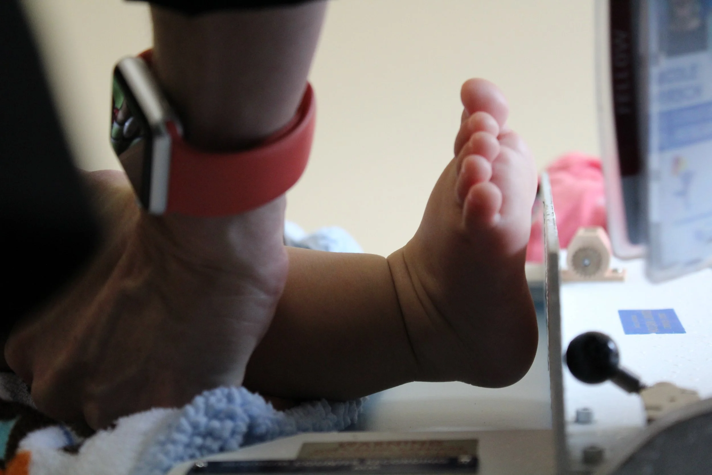 length measurement with little foot.JPG