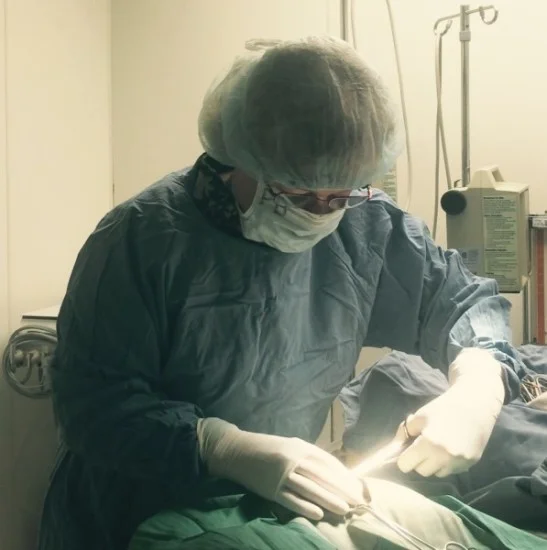 Patients at All-Pets Hospital will receive the very best in surgery & pain management.