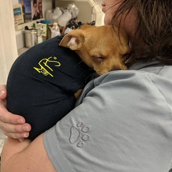 spay.jpg