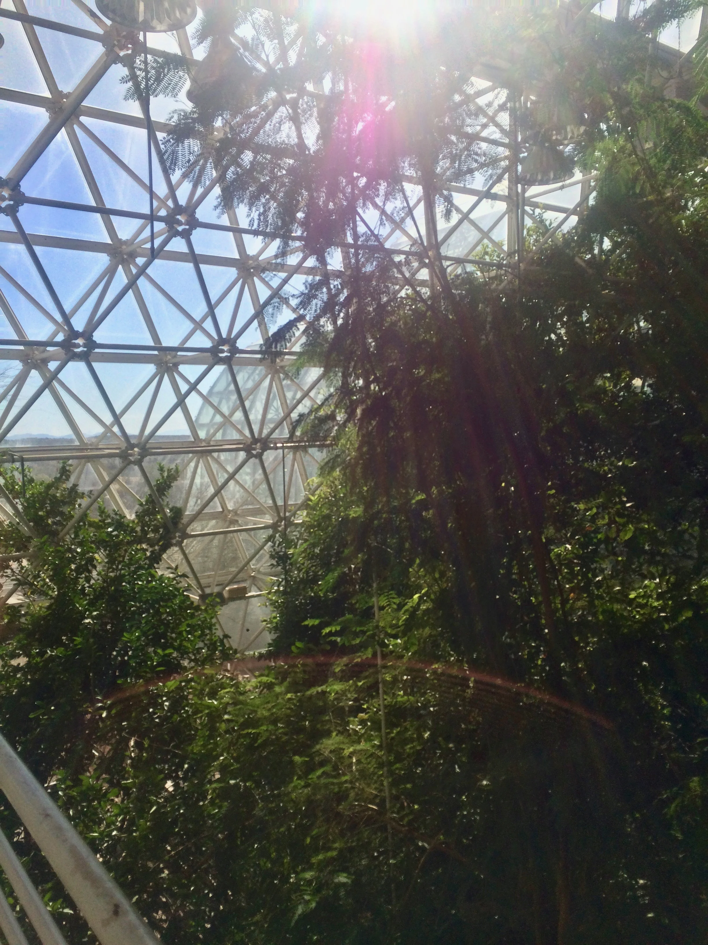 The interior of the savanna
