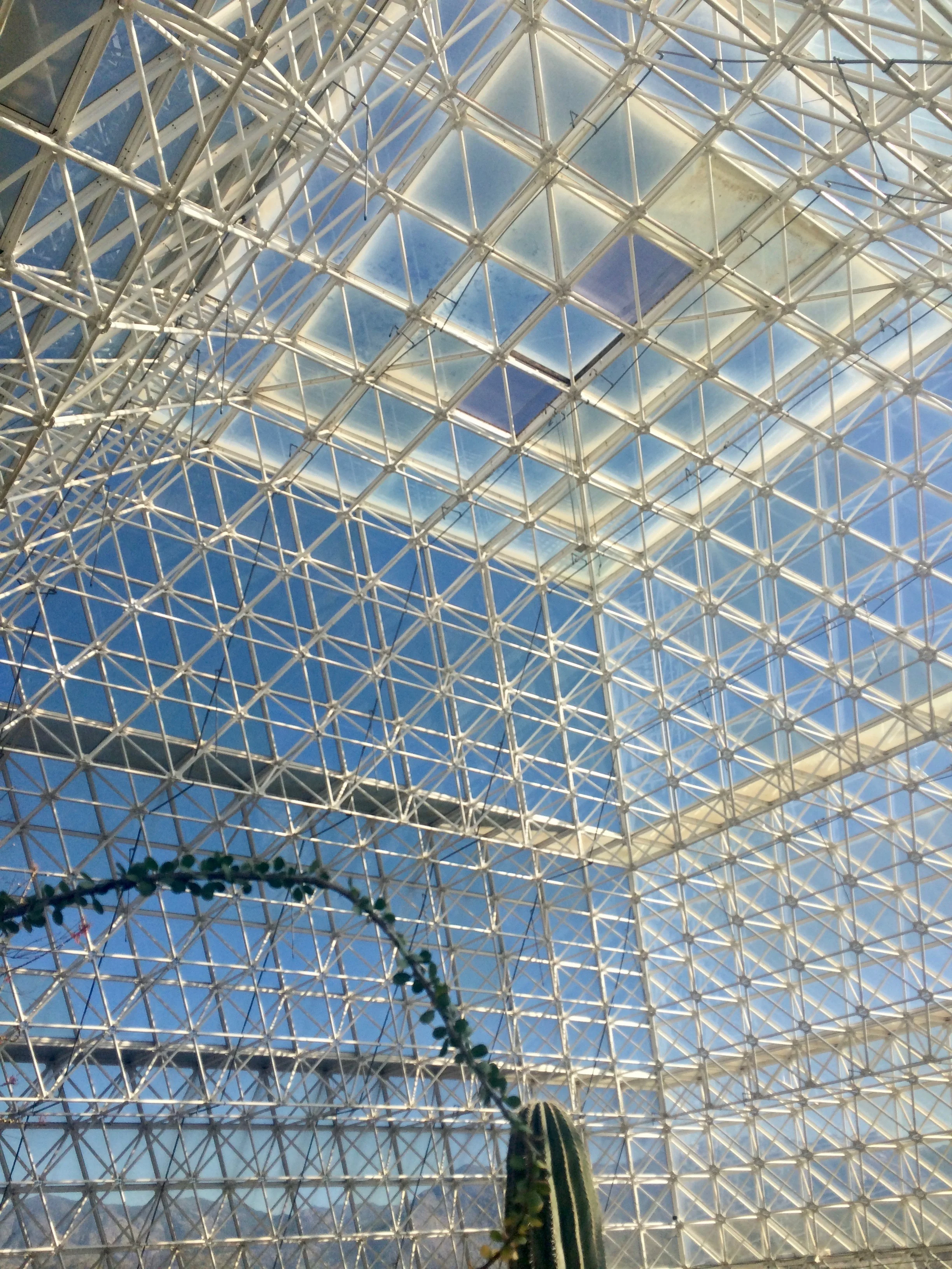 A desert in a pyramid -- an unusual inversion