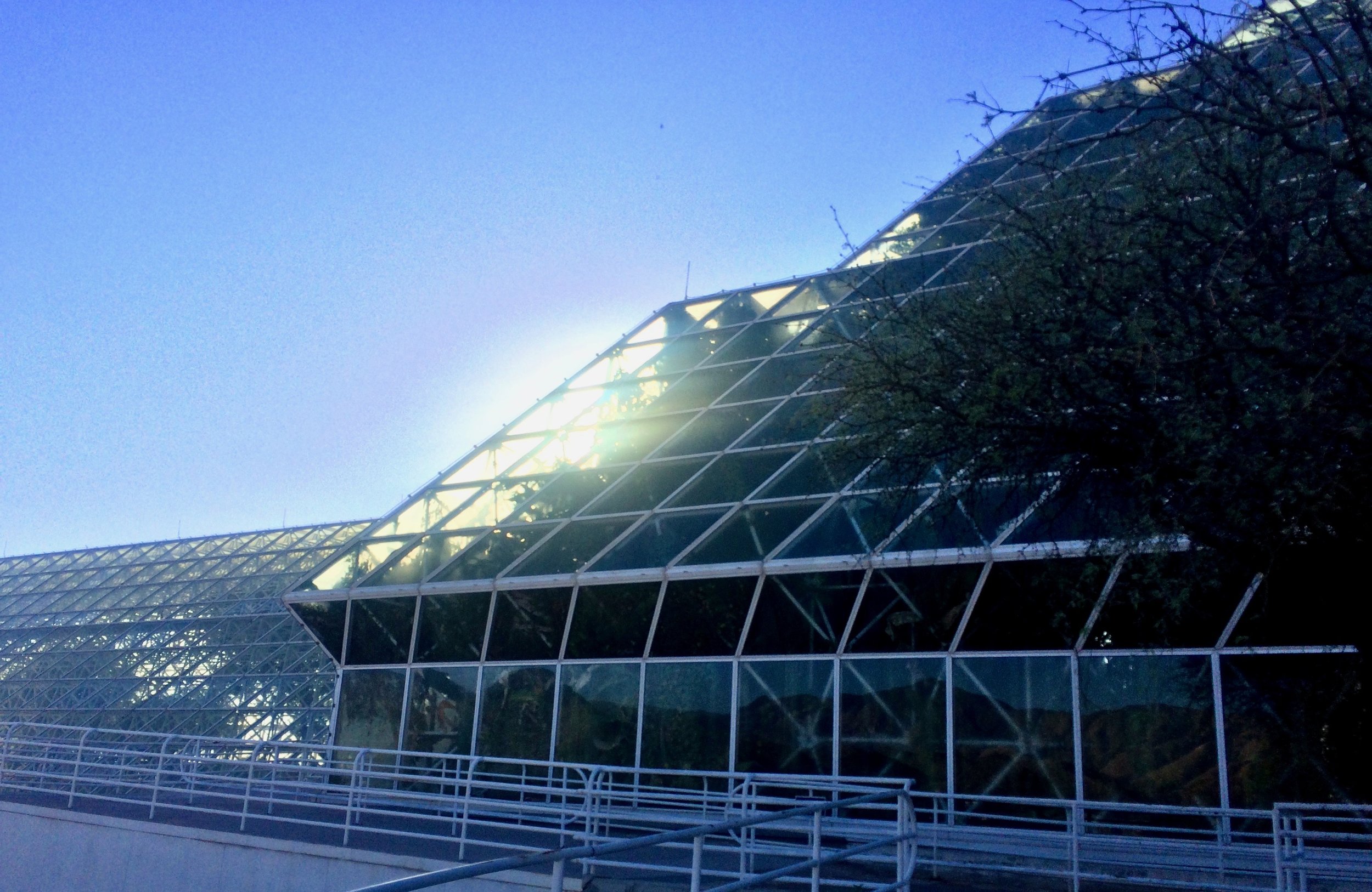 The marsh exterior