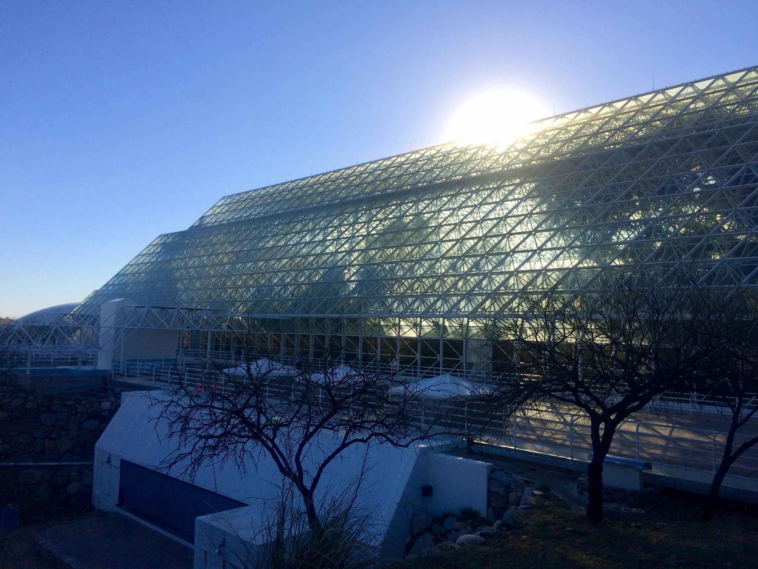 The exterior of the savanna