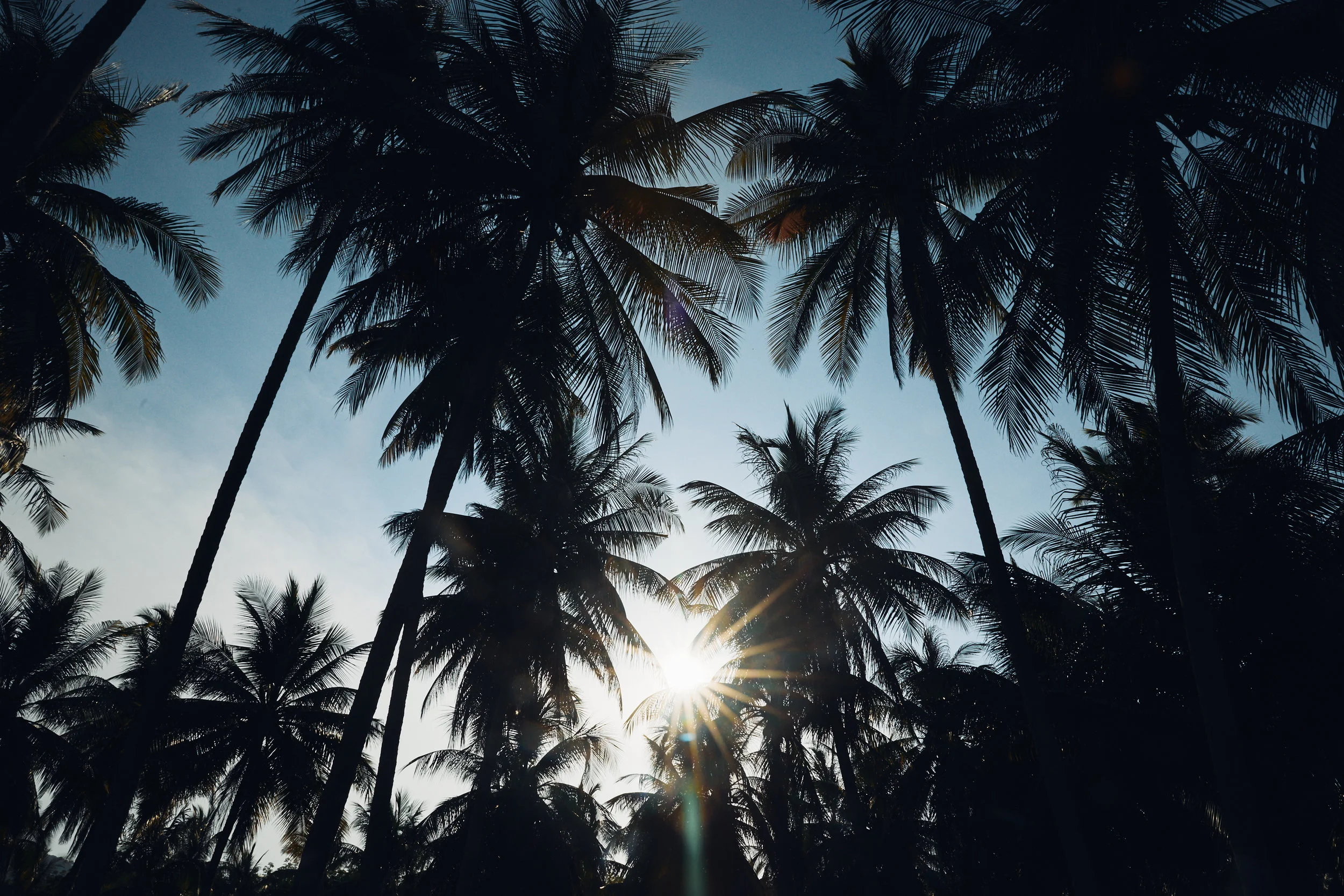 Sampleimages Gallary 2.jpg