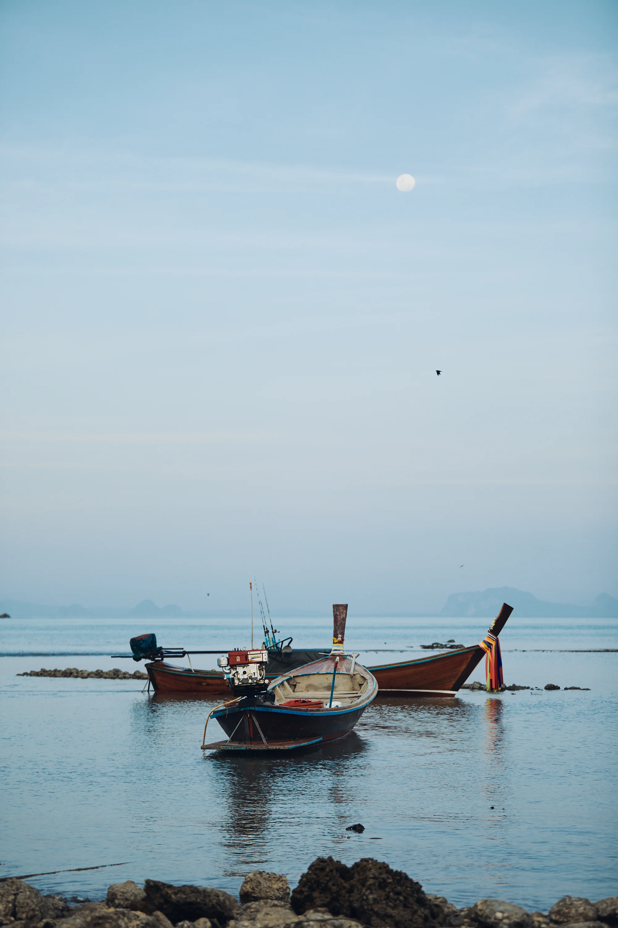 Sampleimages Gallary 5.jpg