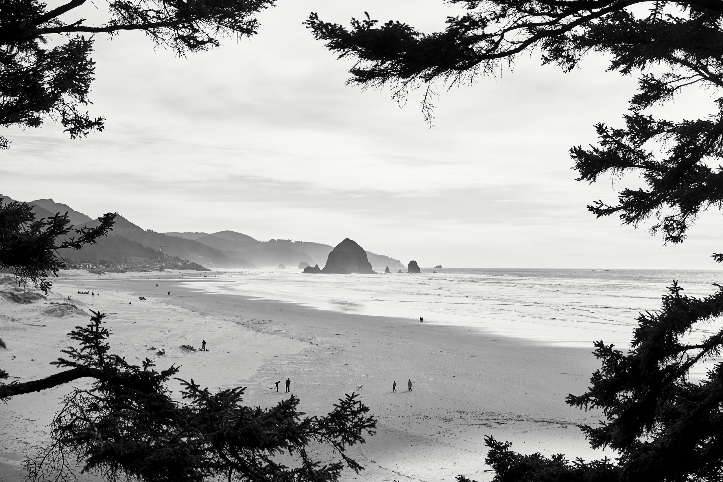 oregon_012.jpg