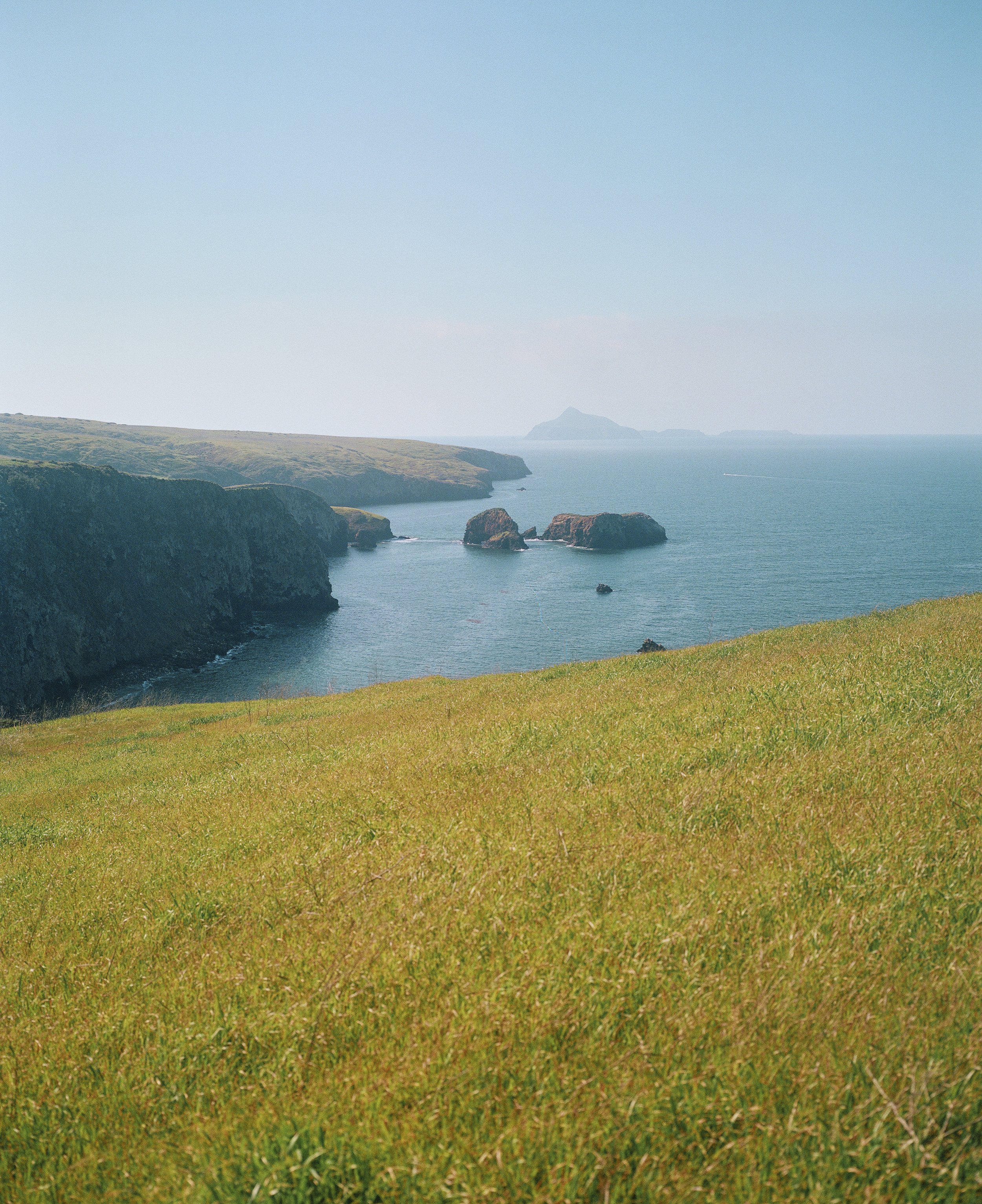 mamiya7_643.jpg