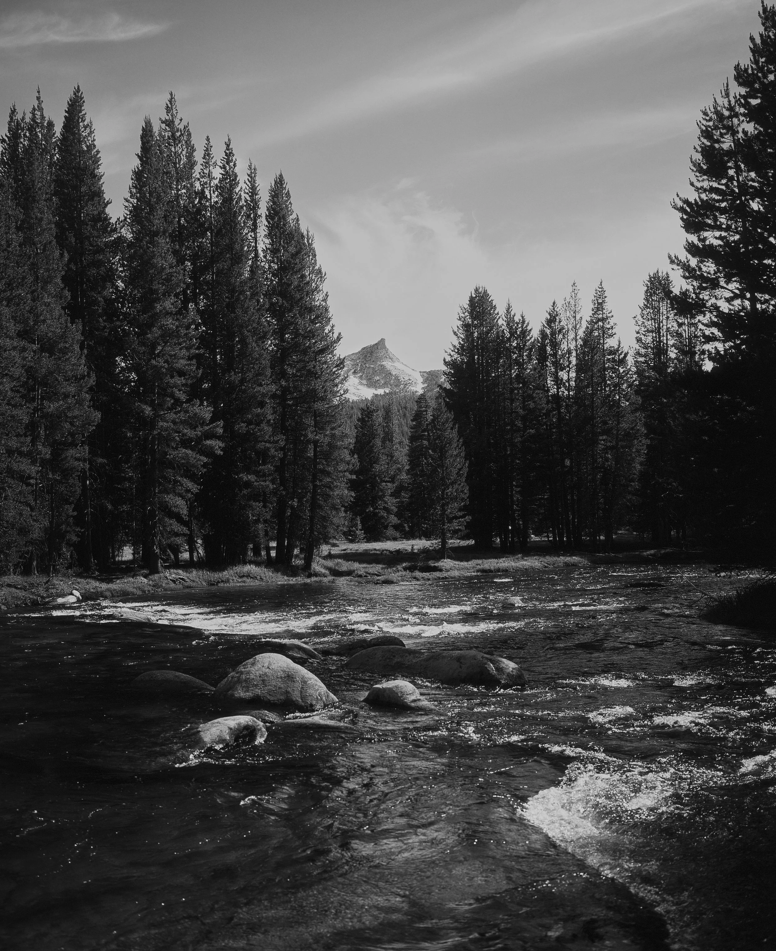 Mammoth_Velvia_0882.jpg