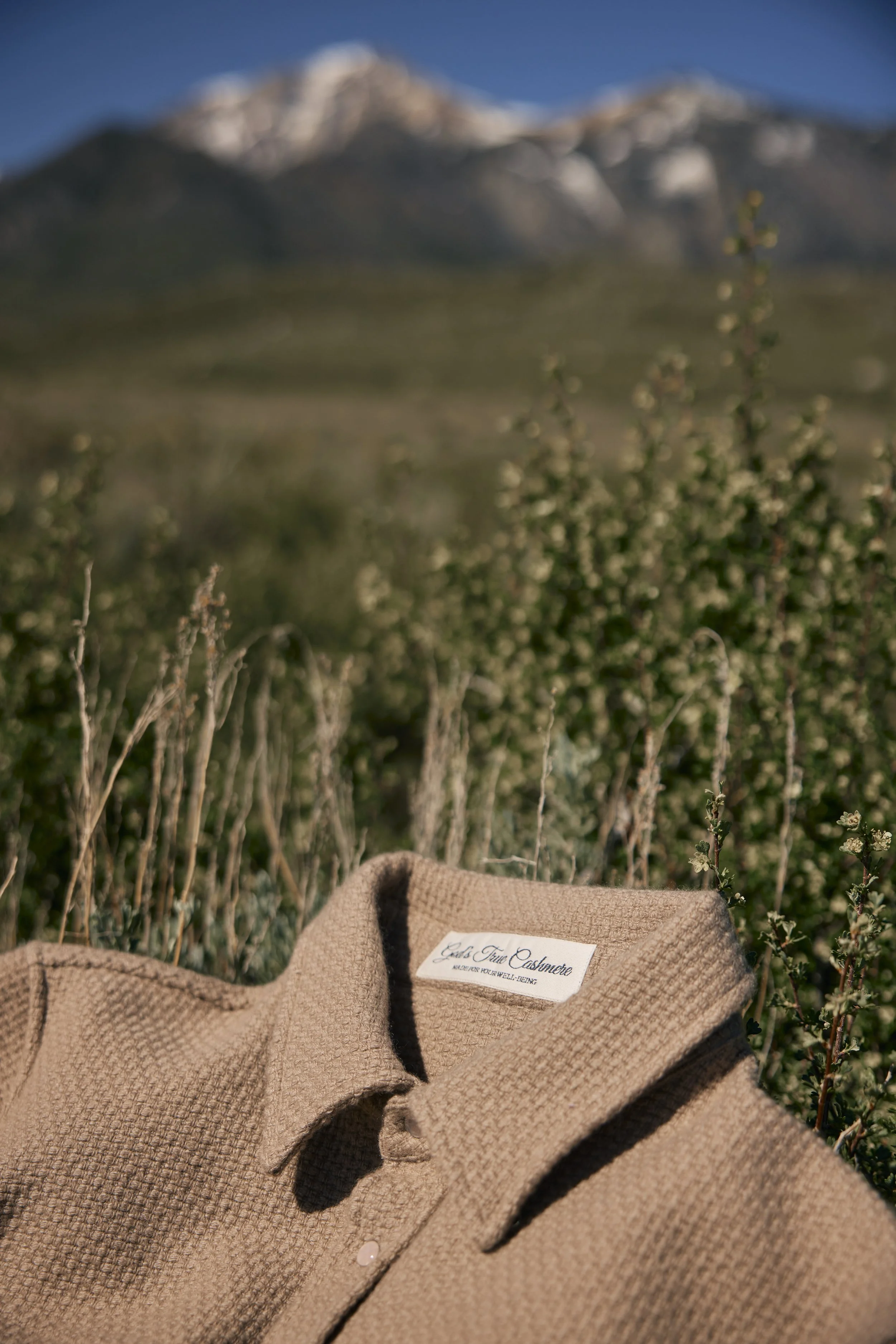 GTC_Mammoth_Flats_Holiday2024_3177.jpg