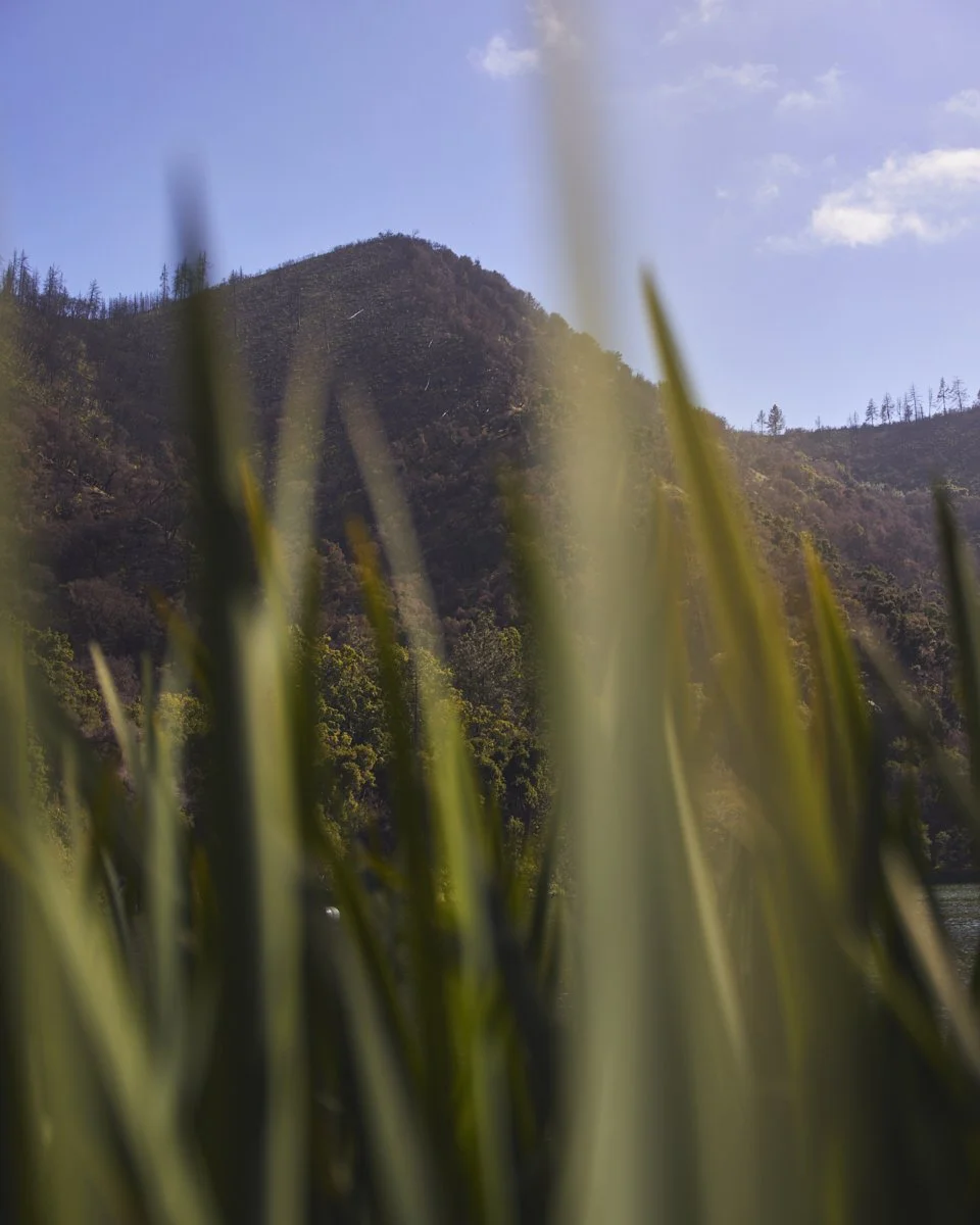 ZACA_0092.jpg