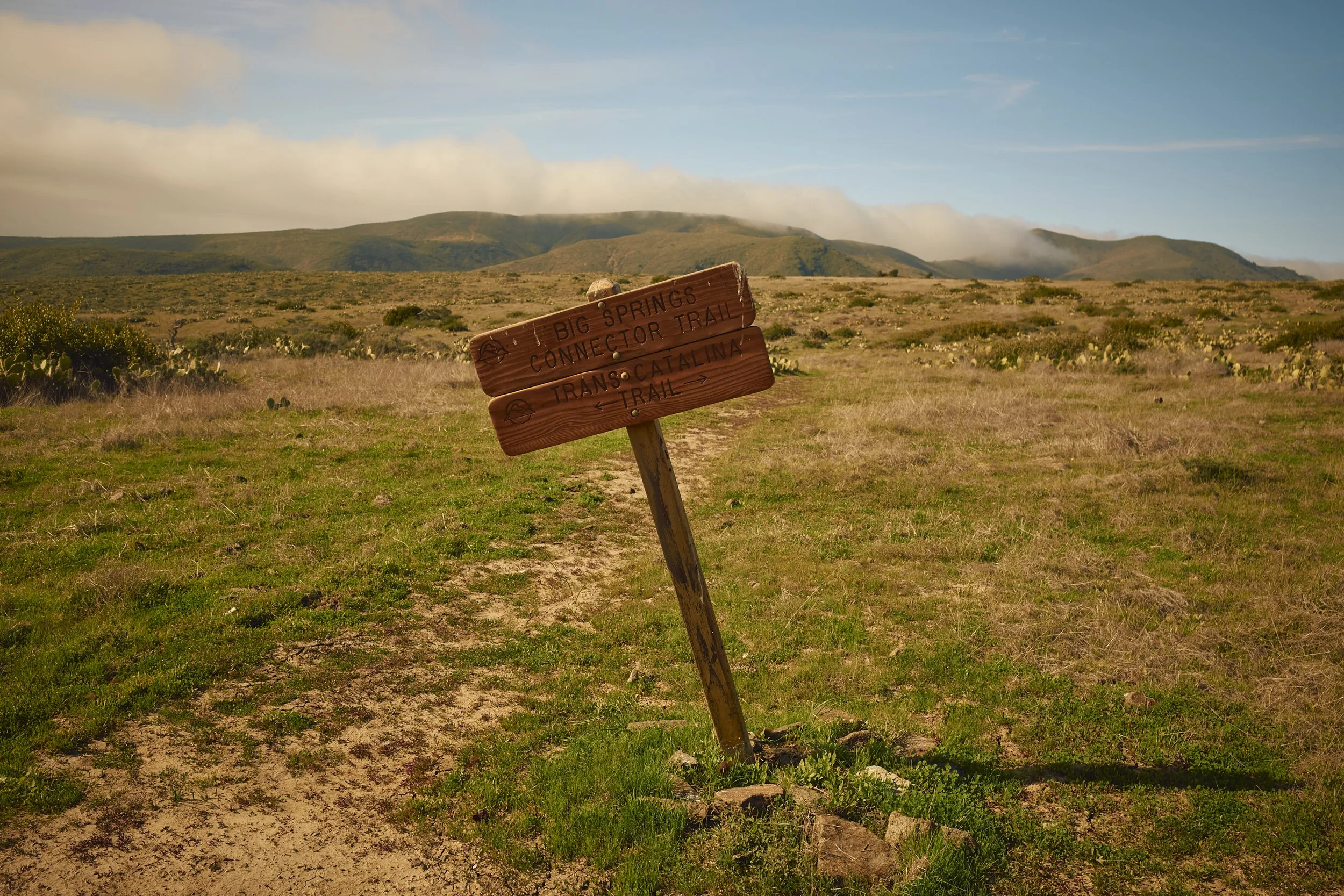 R0001017.jpg