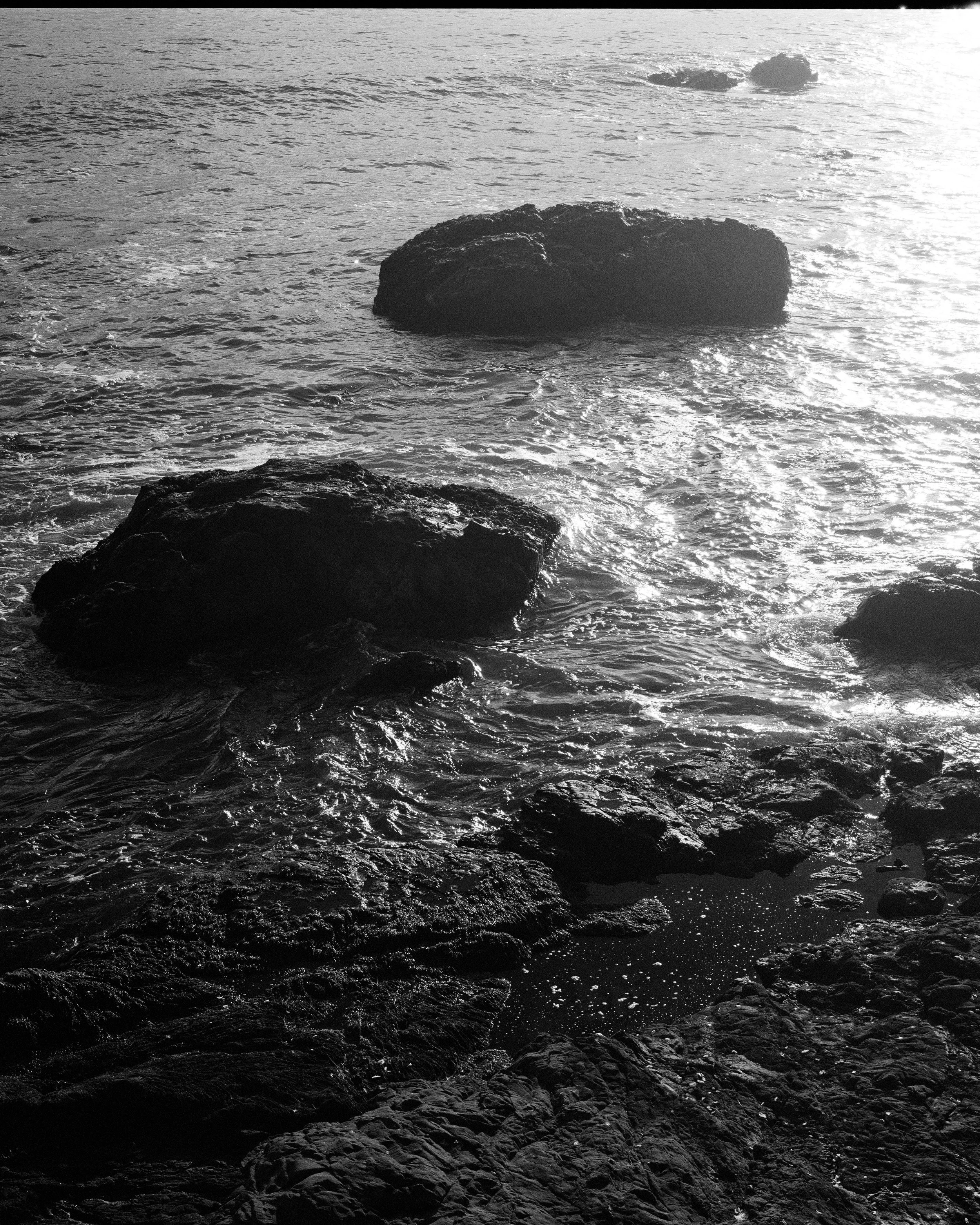 Central_Coast_MAMIYA7_0022 1.jpg