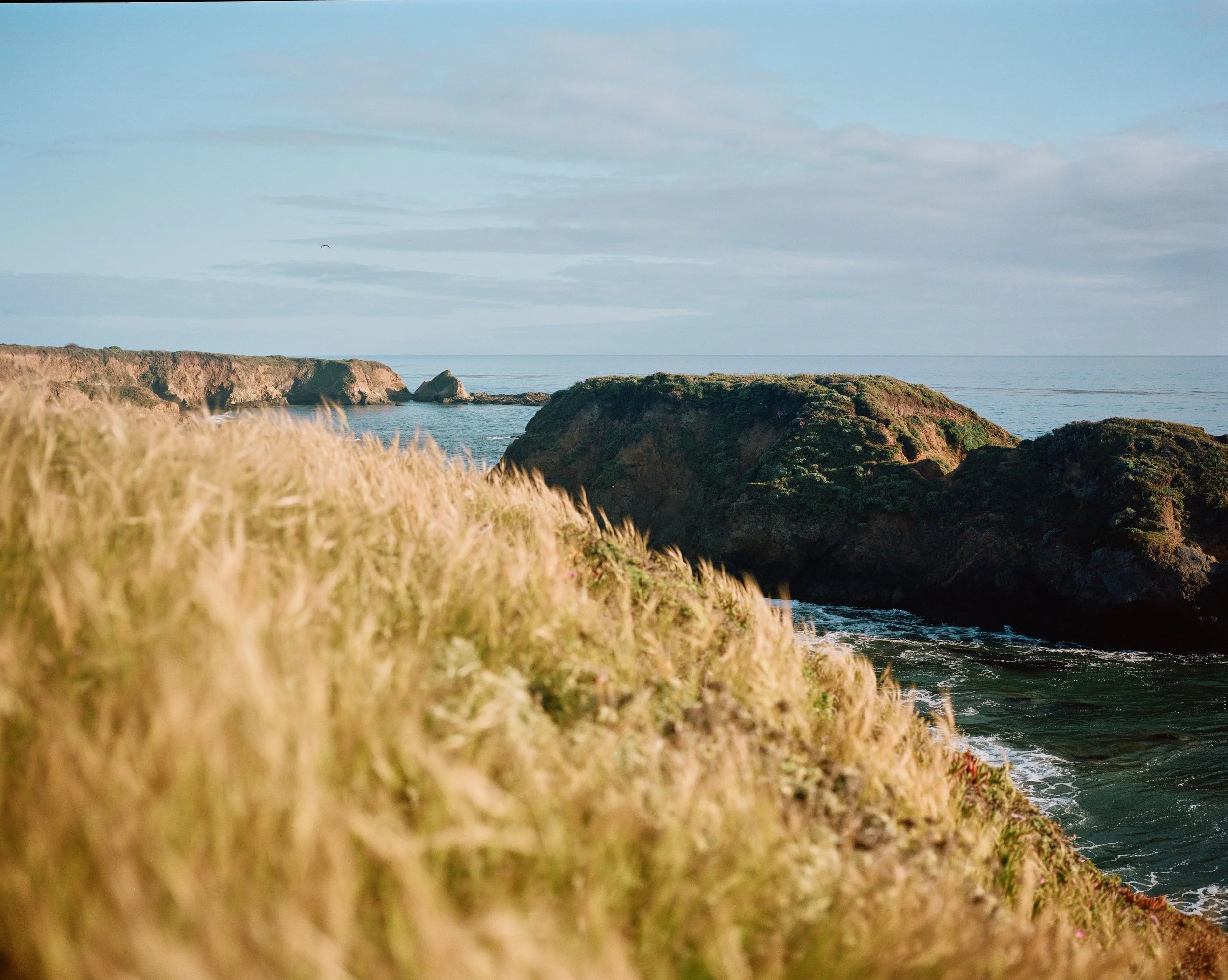 Central_Coast_MAMIYA7_0009.jpg