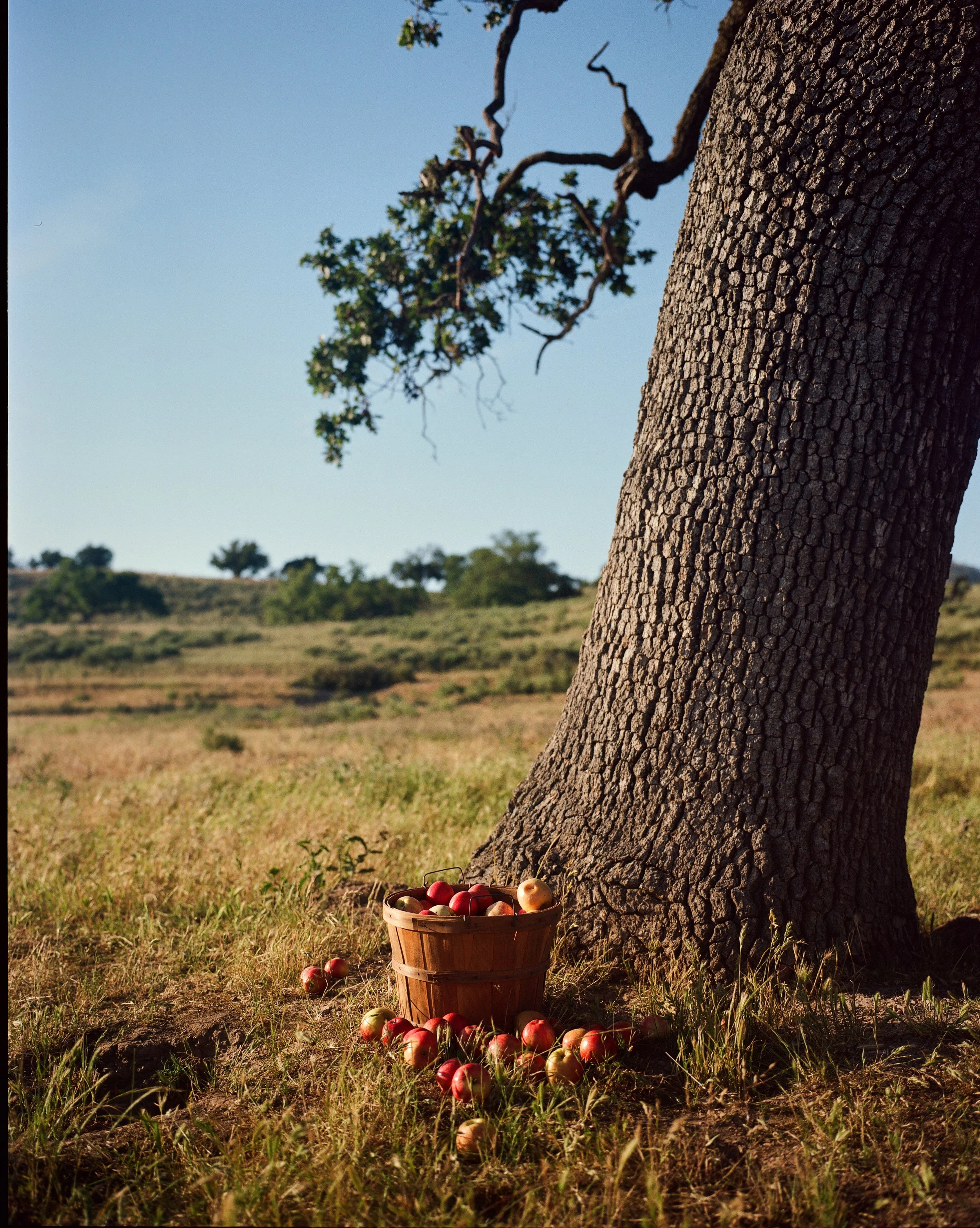ZACA_0033 1.jpg
