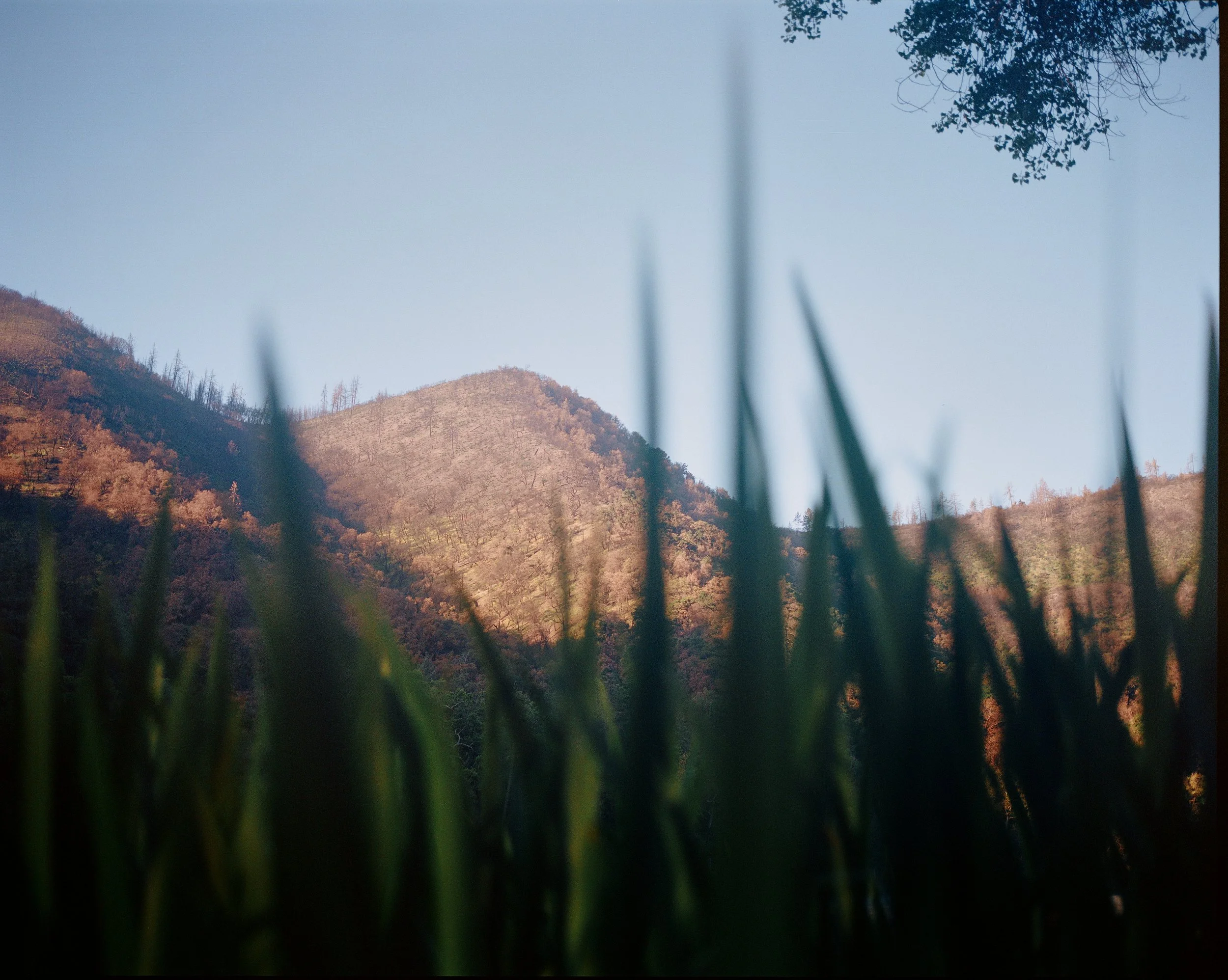 ZACA_0055 2.jpg
