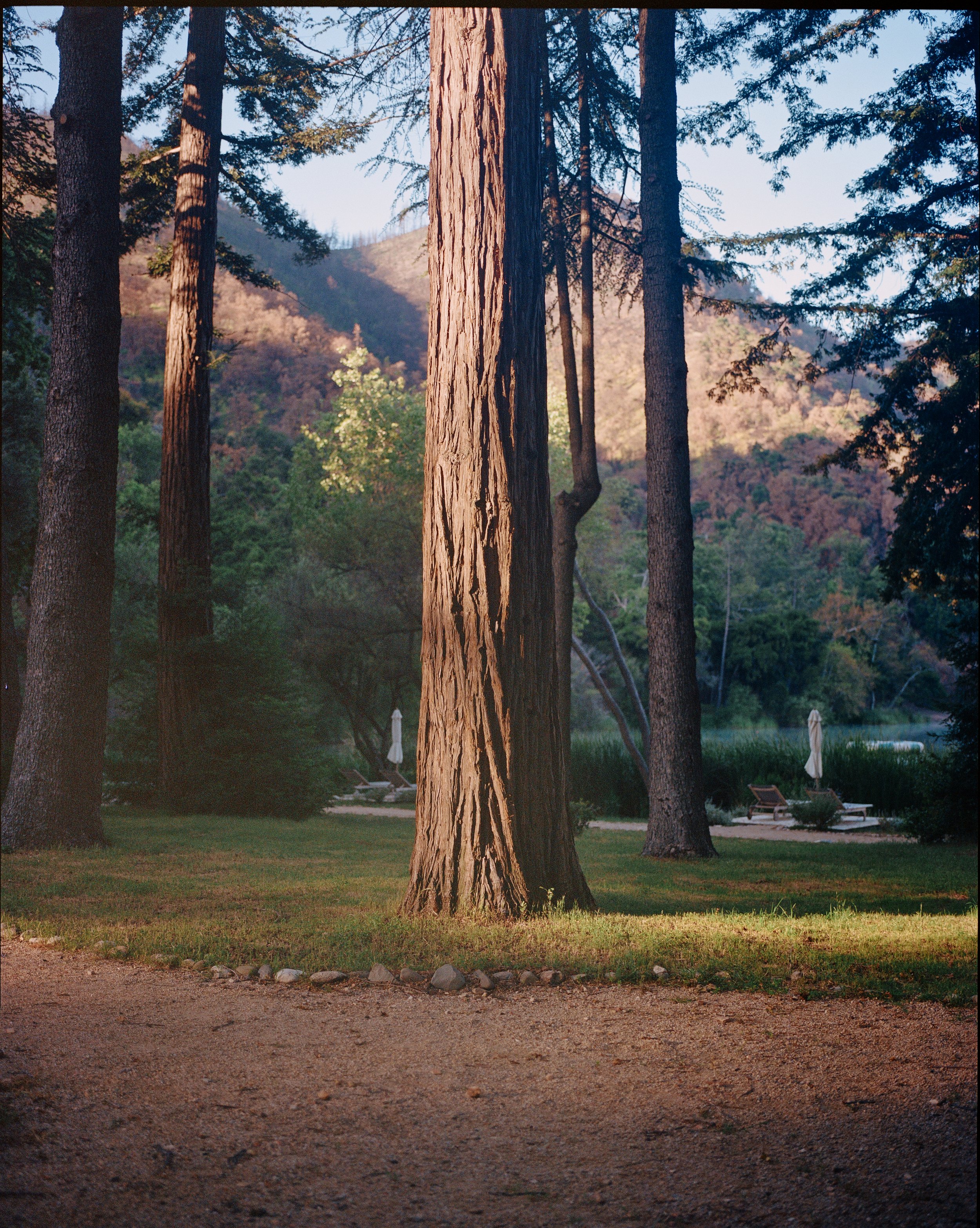 ZACA_0058 2.jpg