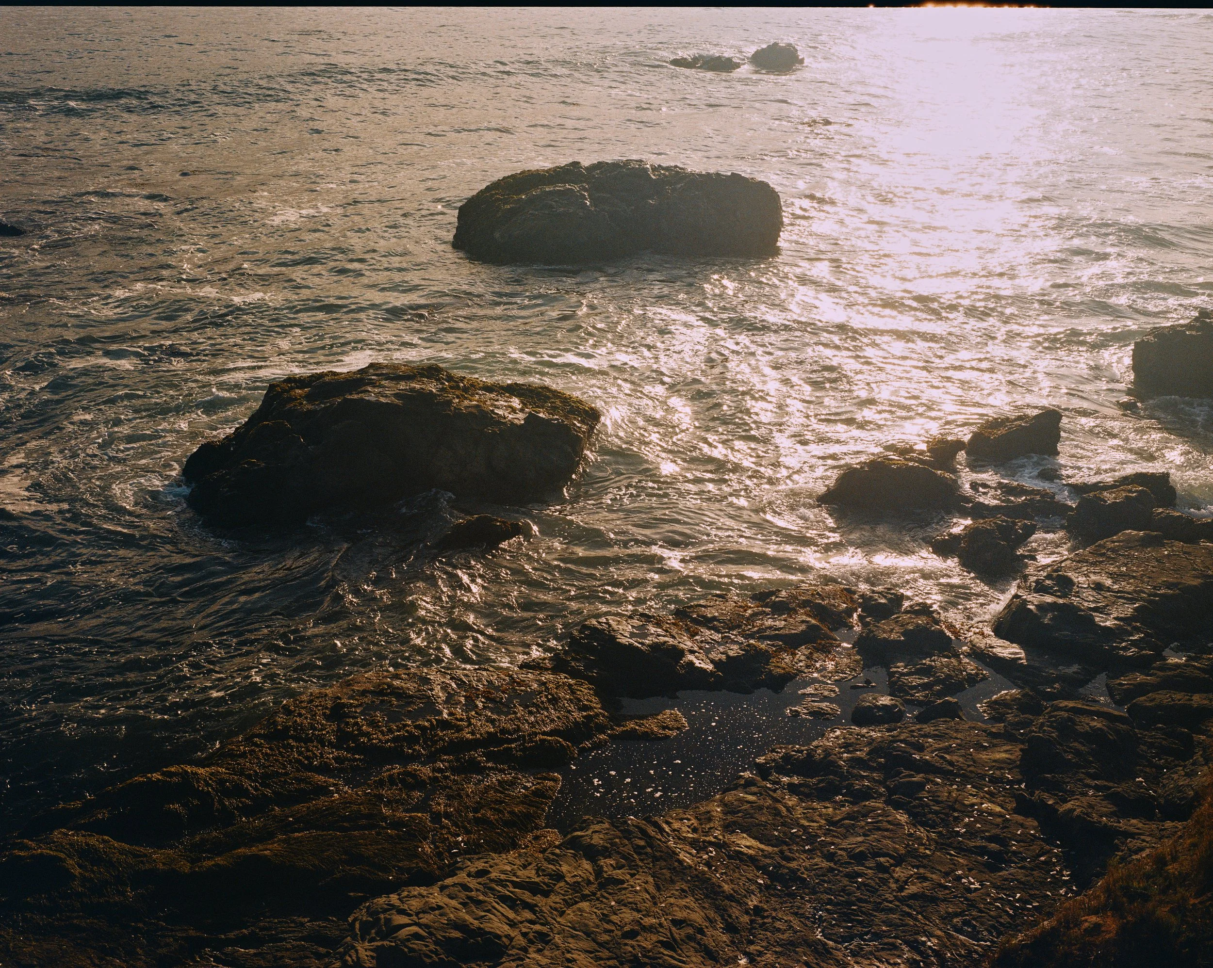 Central_Coast_MAMIYA7_0022.jpg