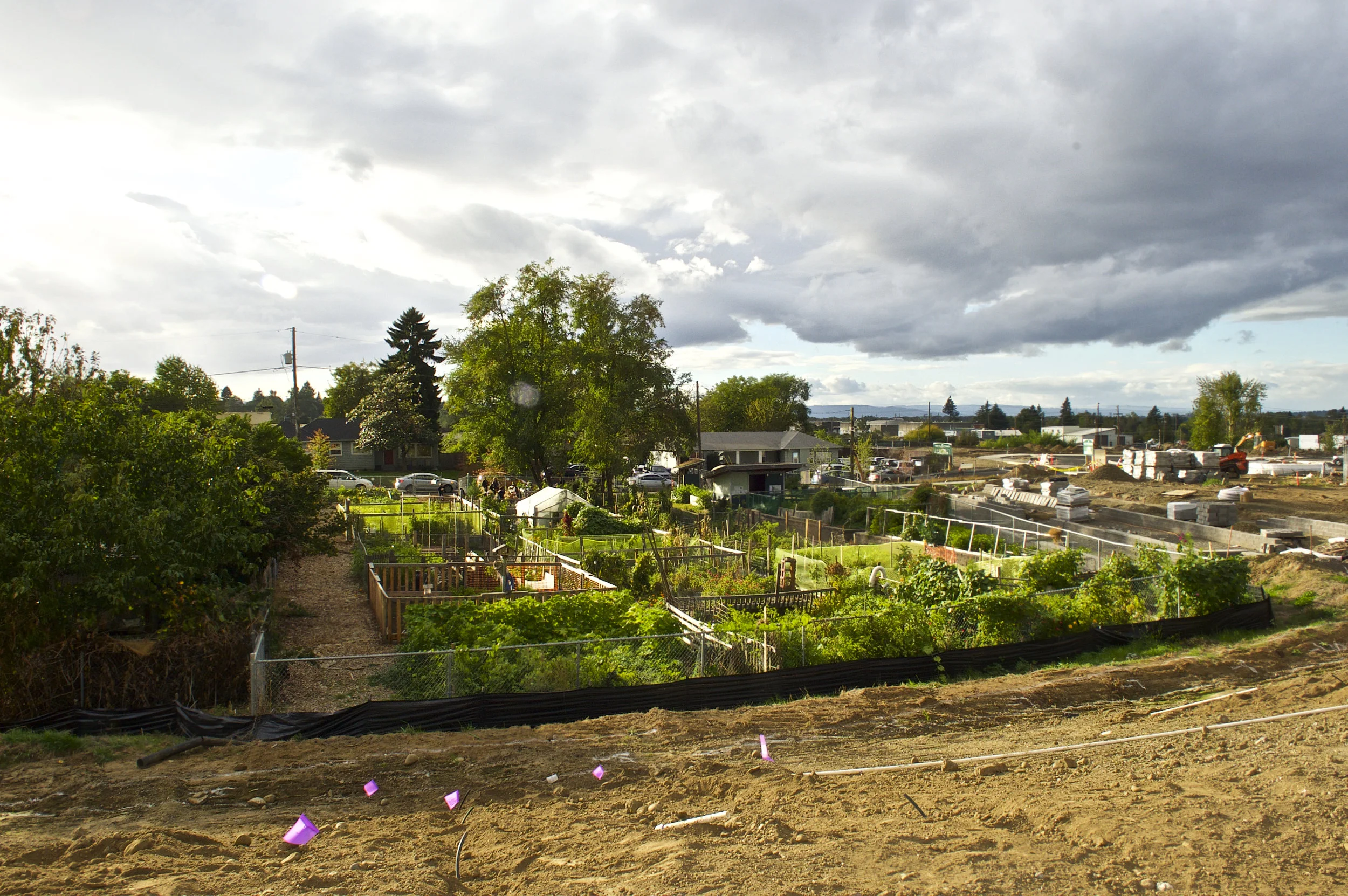 Cully Park Pumpkin Carving 100717_NH14463.jpg