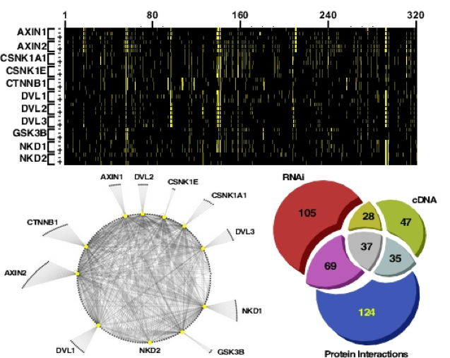 Integrated multidimensional screening to identify new signalling components