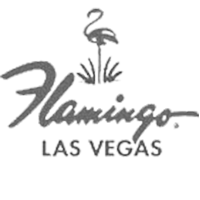 dm_client_logos_website_200b_0015_Flamingos(1).png