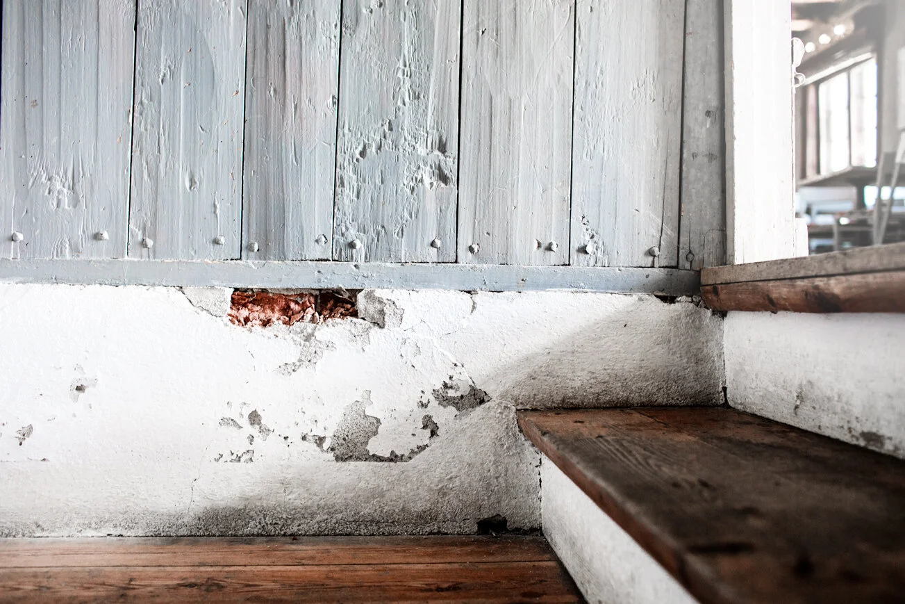 image-asset (2).jpeg