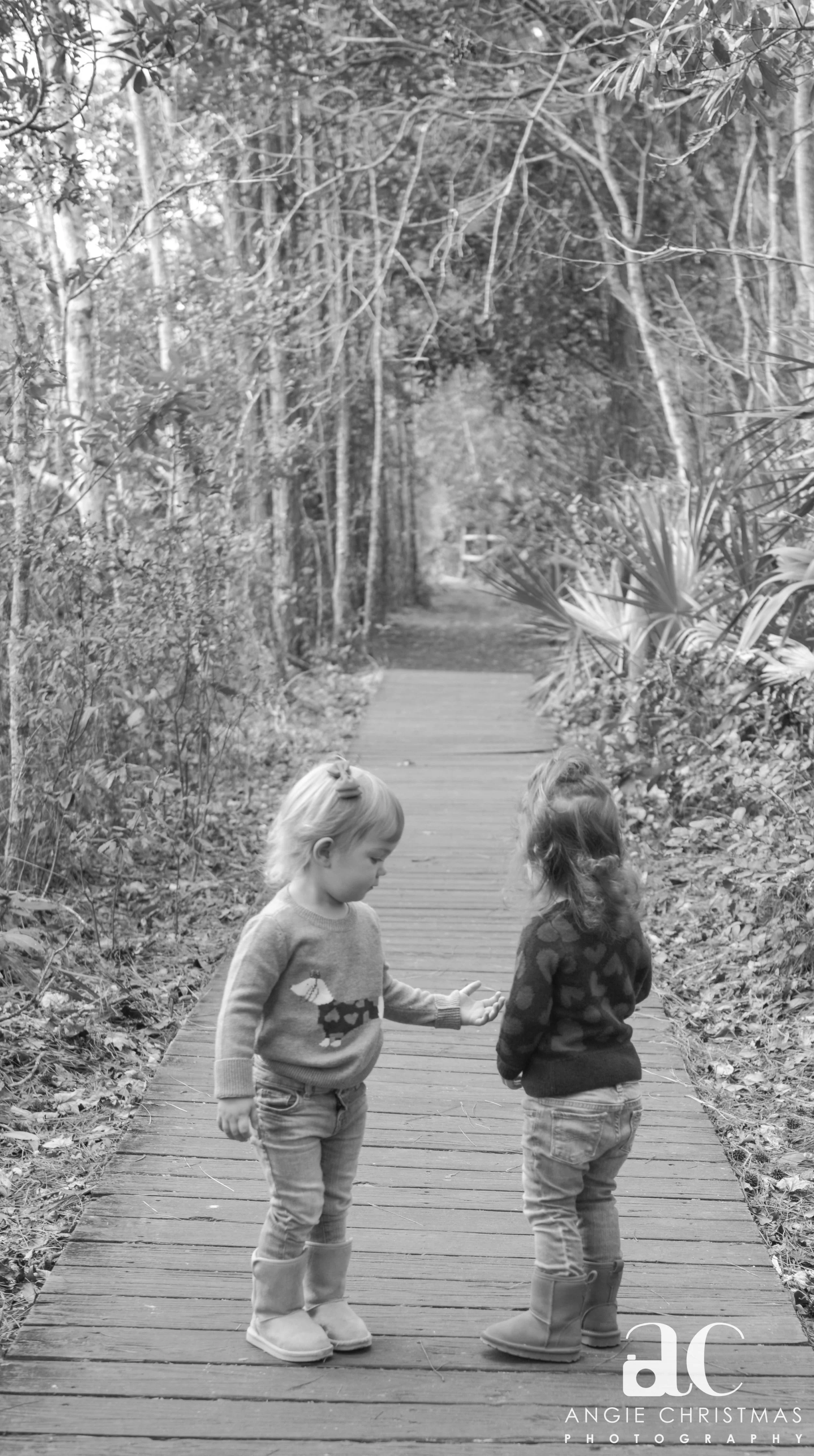 They Hoy Twins Turn 2 (15 of 100).jpg
