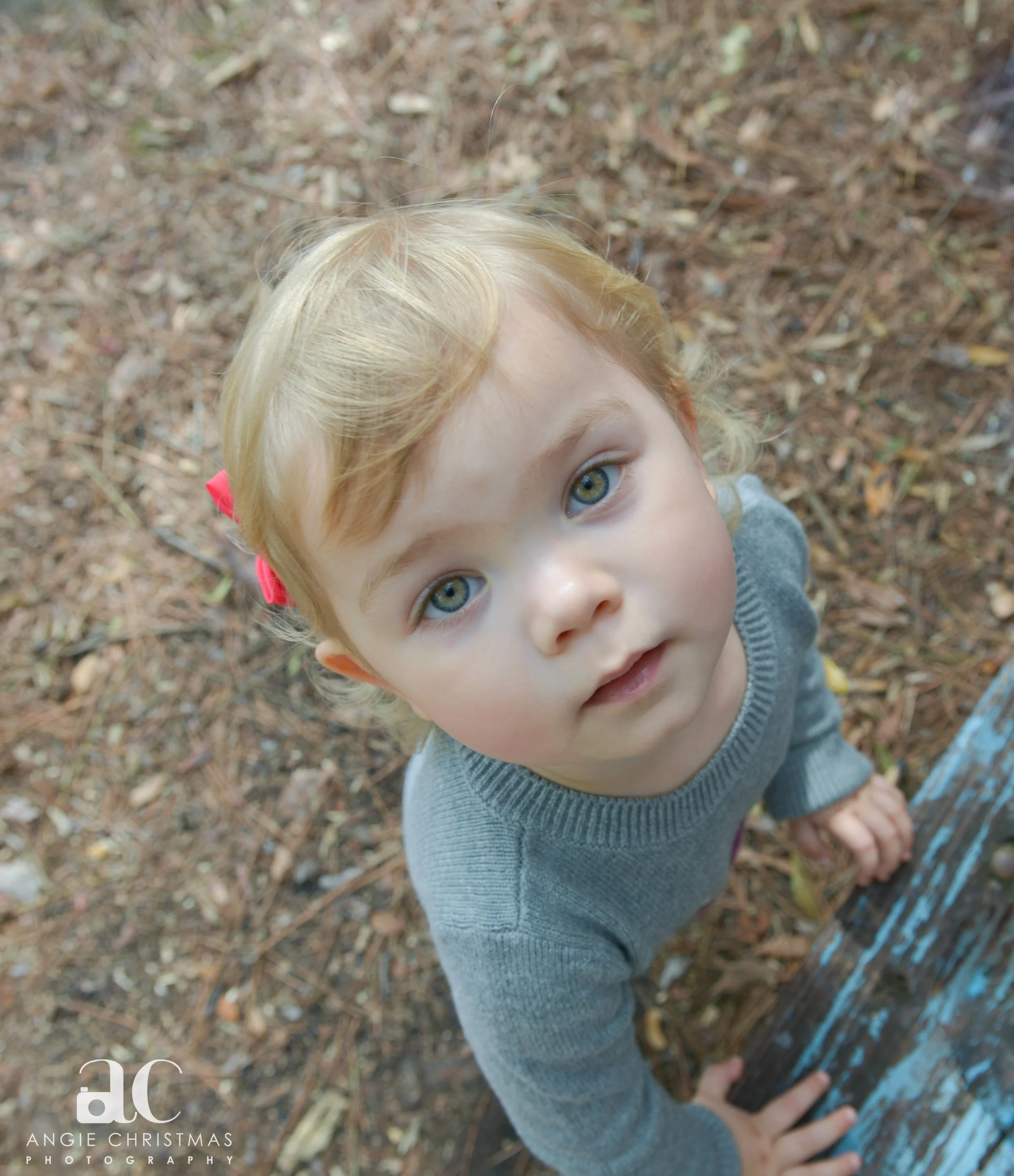 They Hoy Twins Turn 2 (47 of 100).jpg