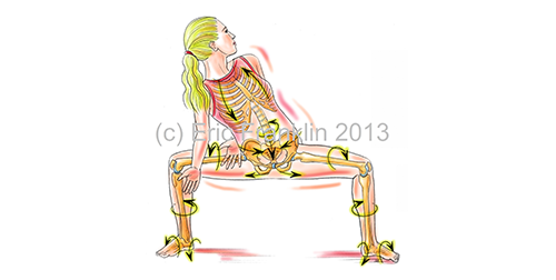 Pelvic-Workshop.png