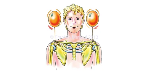 FM-shoulders-ECP.jpg