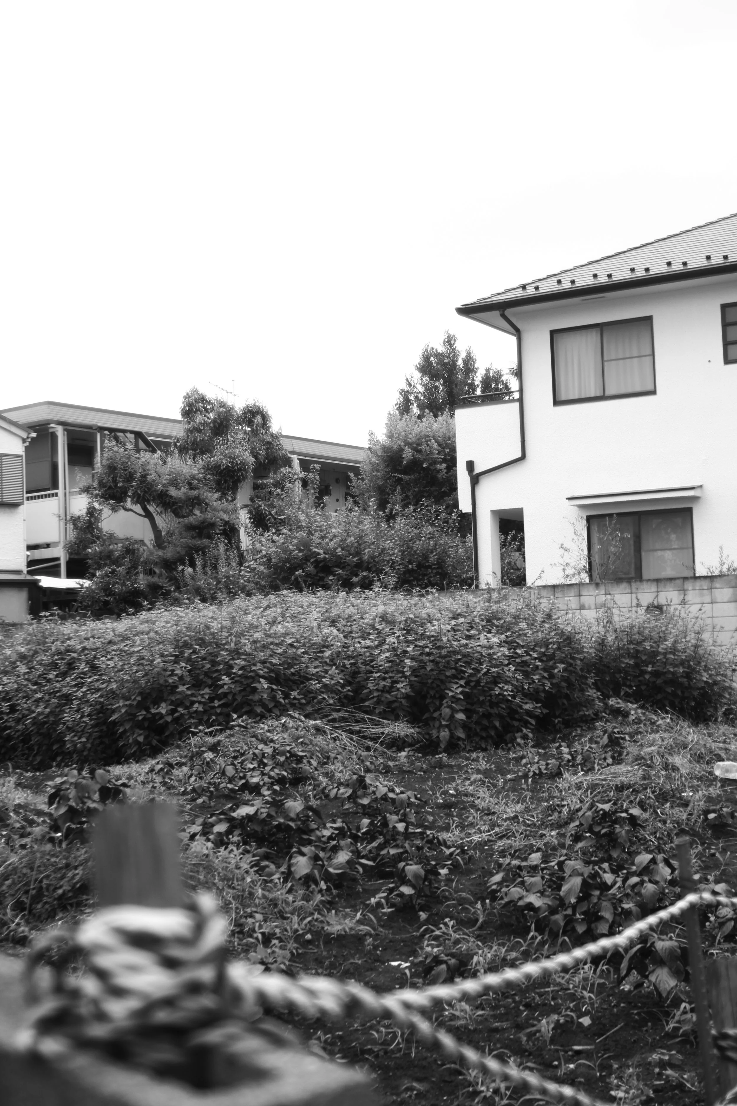 BW3j