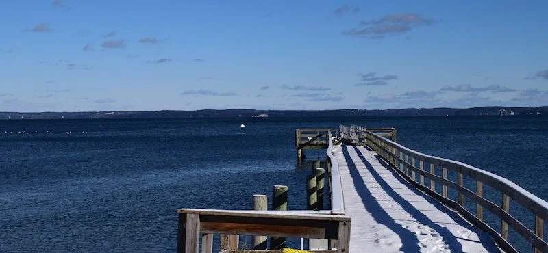 DSC_0262-800x370.jpg