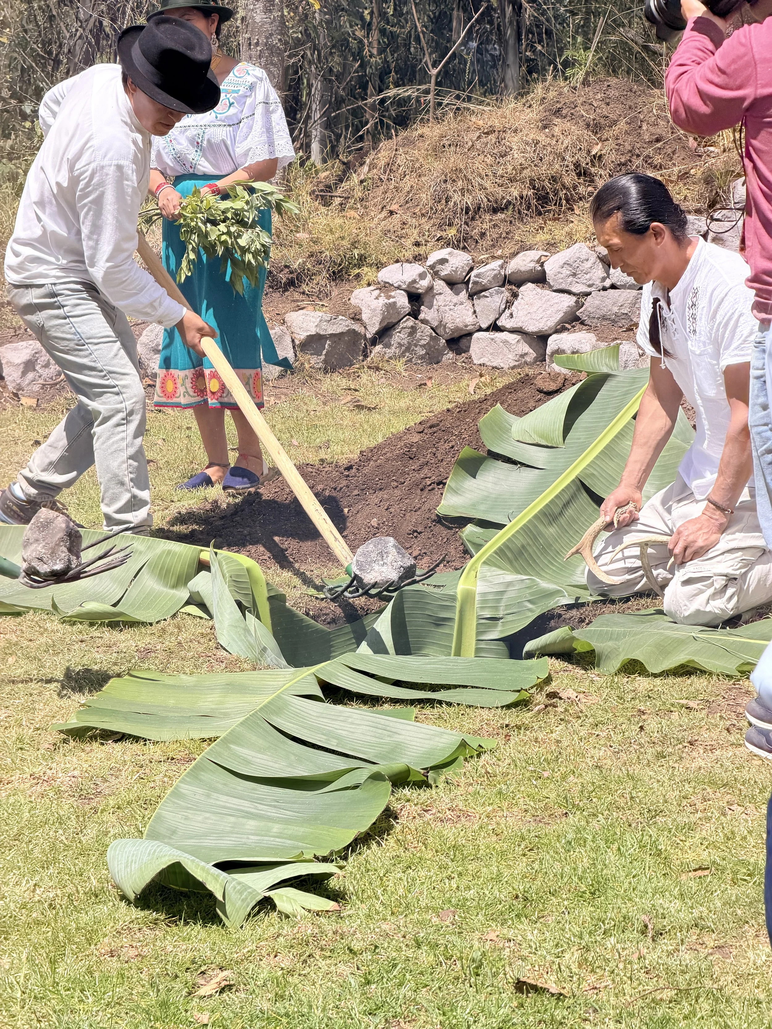  They lined a large hole with banana leaves and filled the bottom with super hot rocks. 