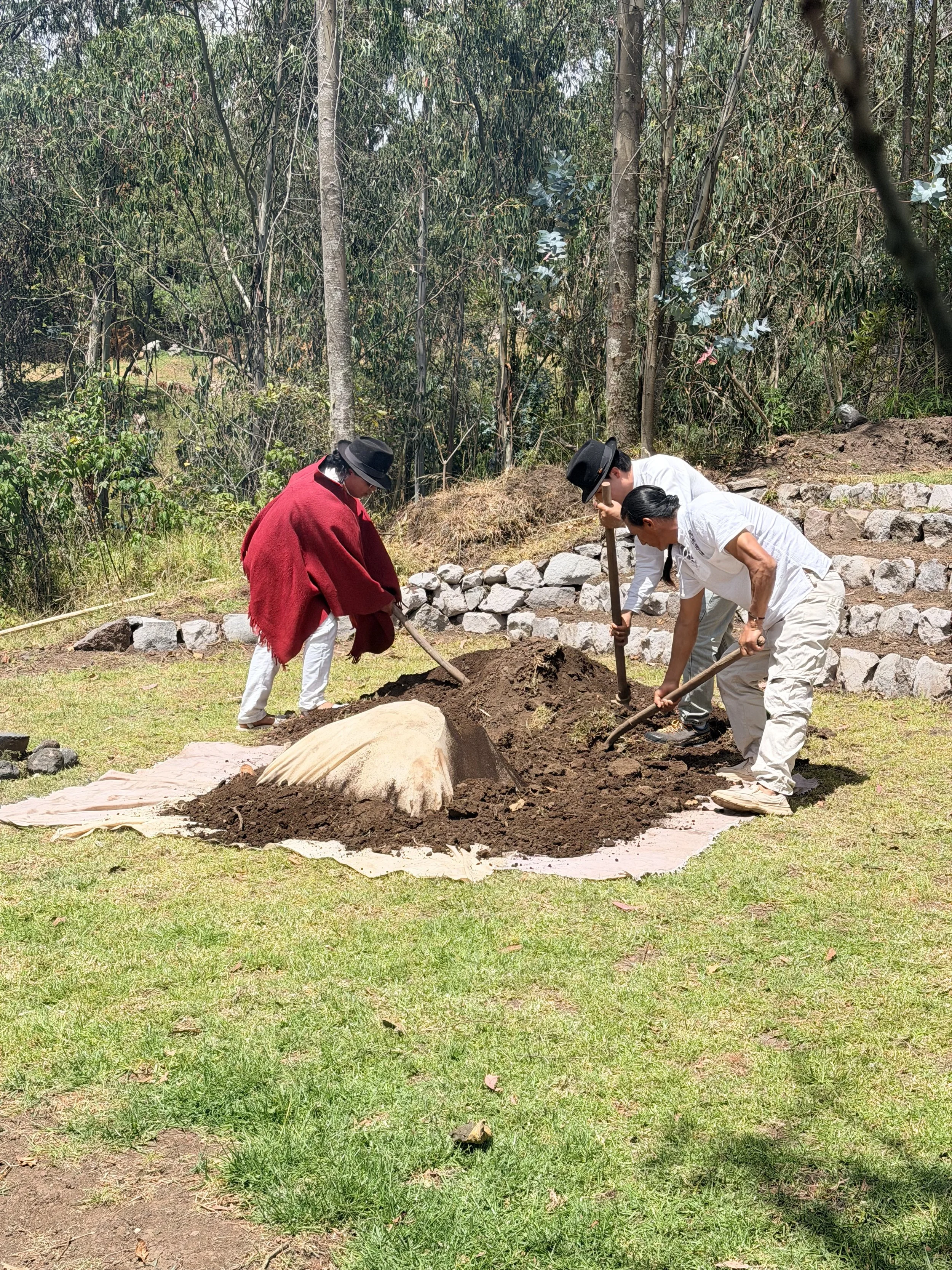  The food, along with fresh herbs, was dumped into the hole, covered with a cloth and then soil. 