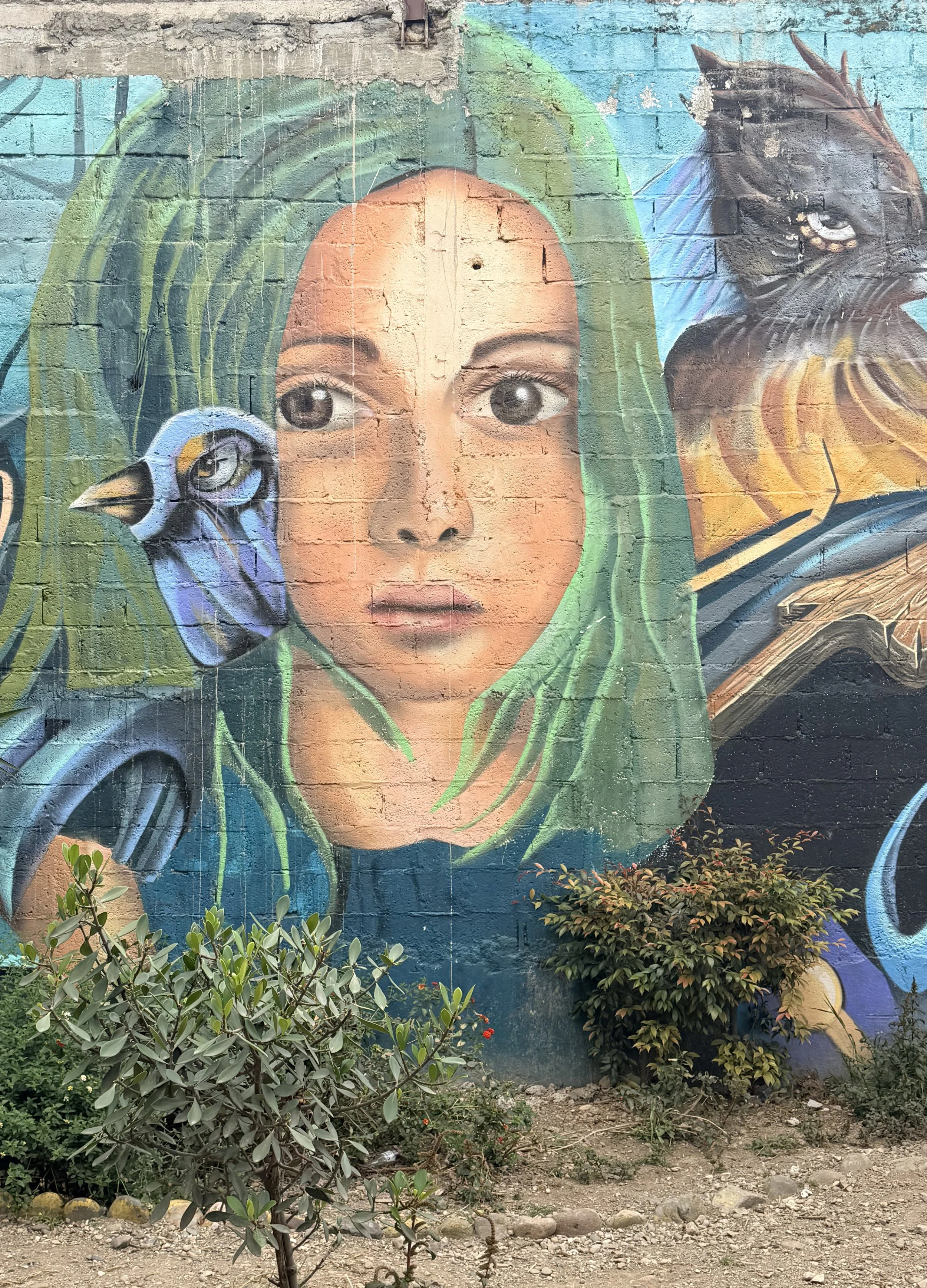 IMG_1820.jpeg